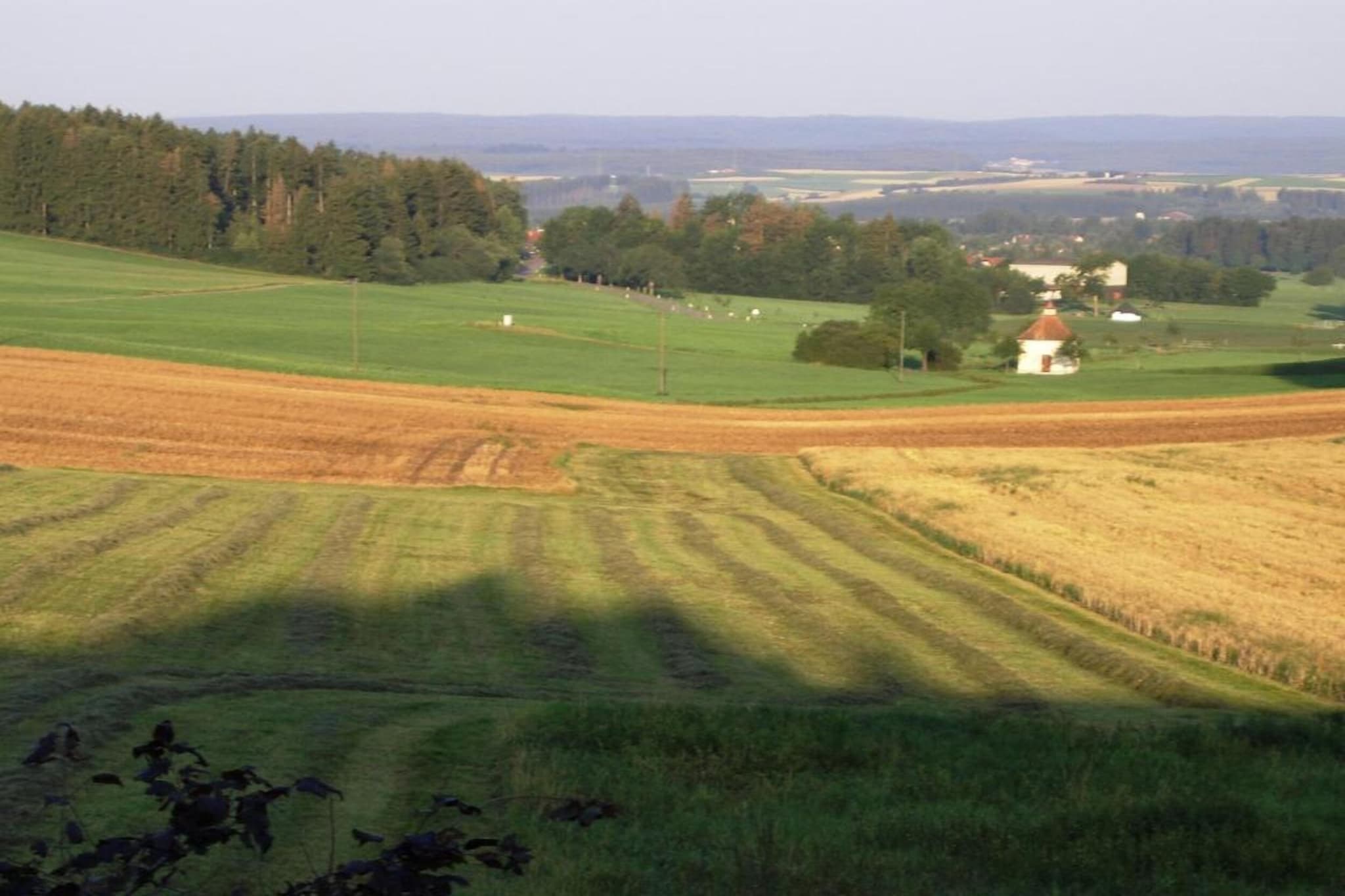 Park Blick-Gebieden zomer 20km