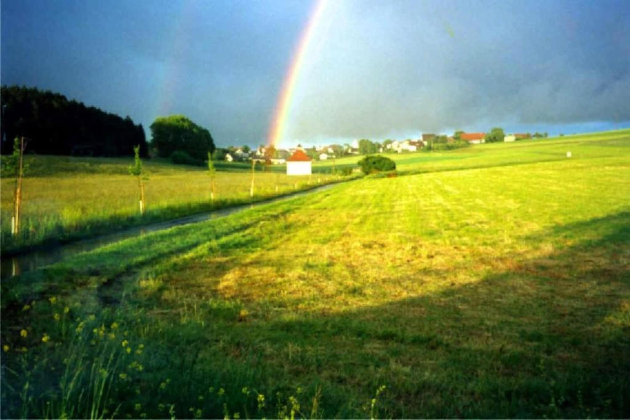 Park Blick-Gebieden zomer 20km