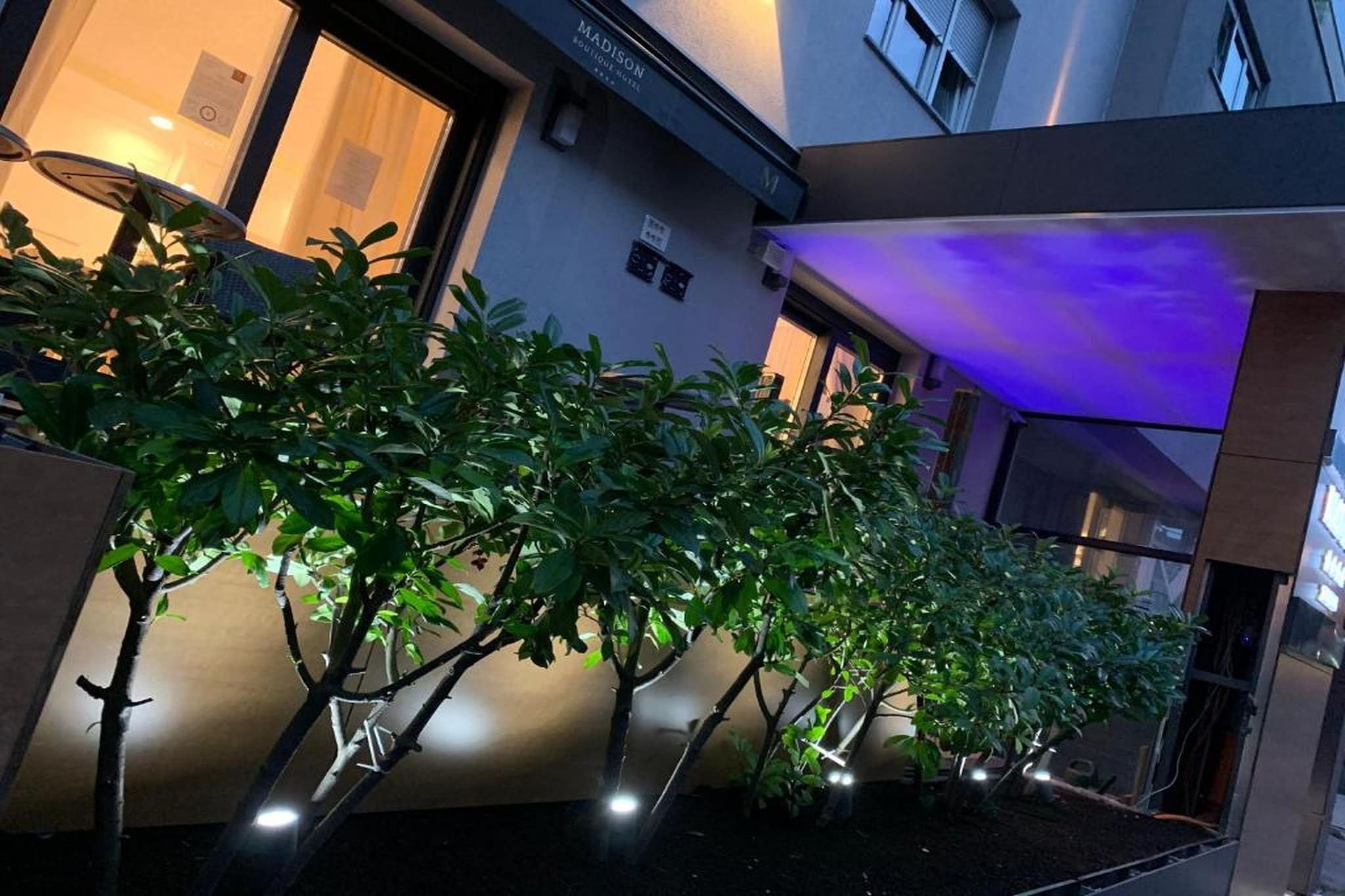 Economy Double Room - Gebieden zomer 1km