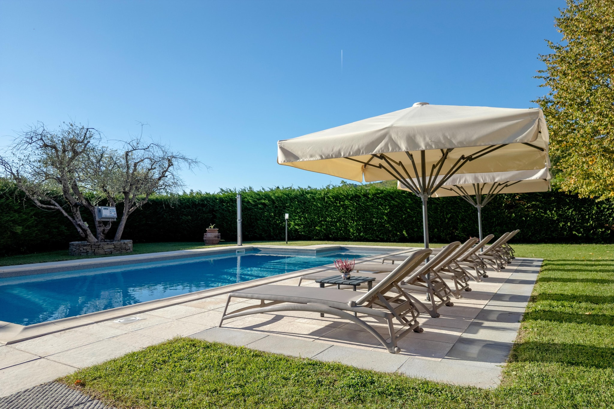 Pool Of House