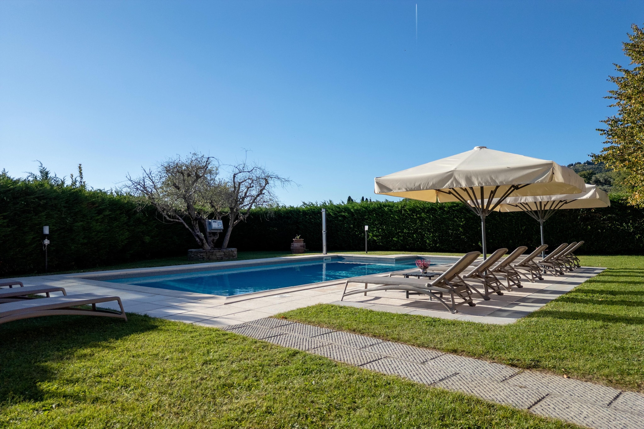 Pool Of House
