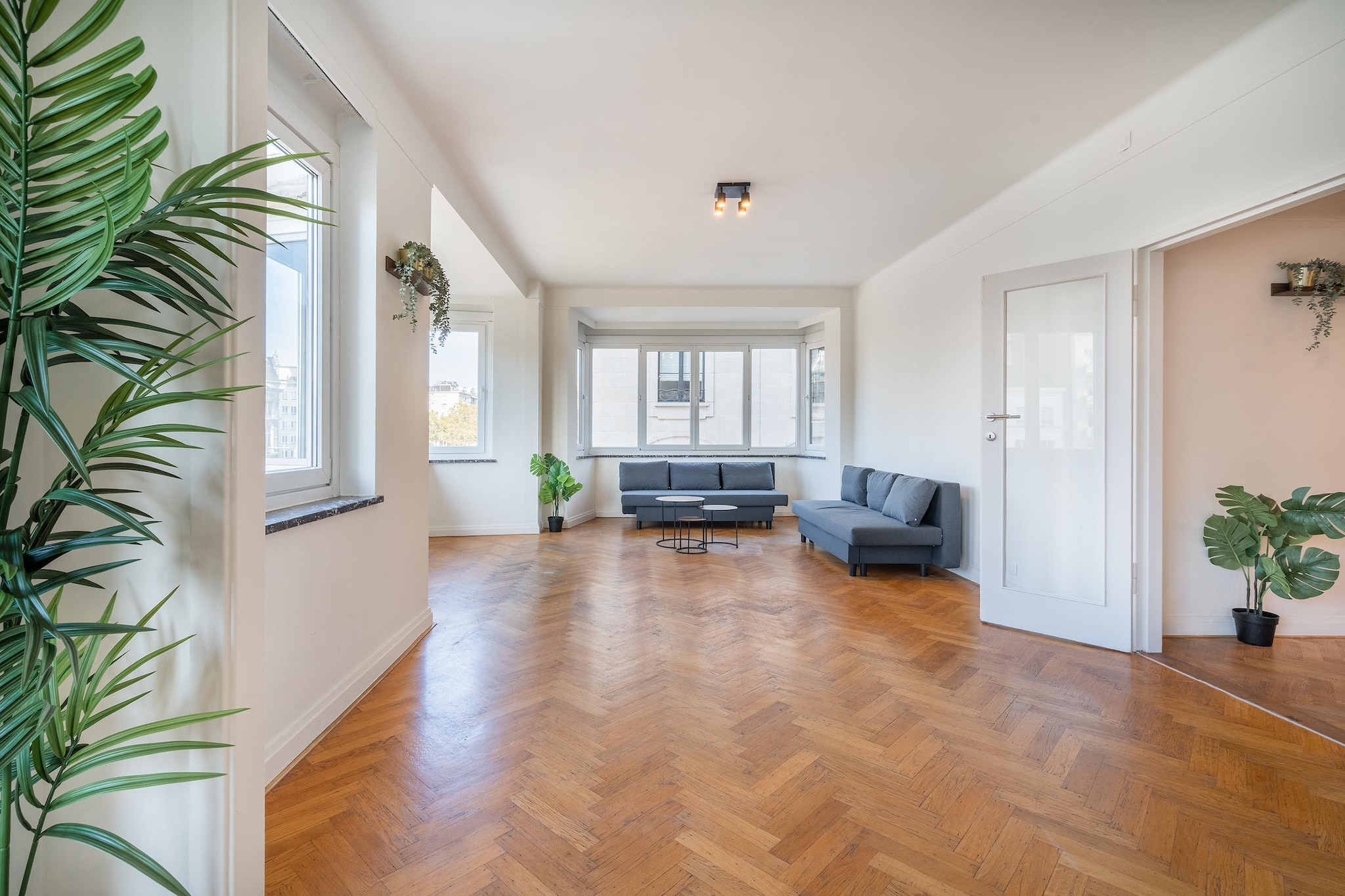 FR135_12L_2B