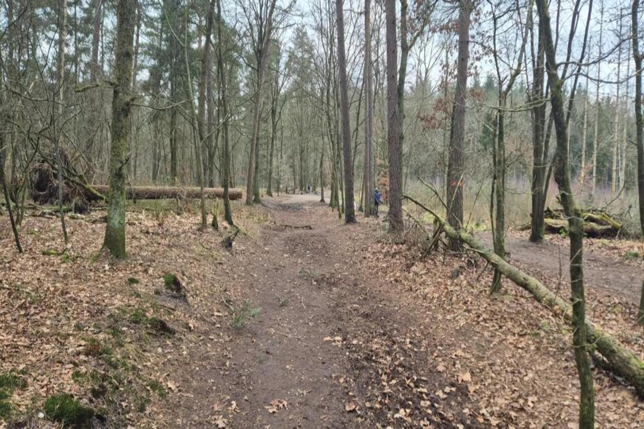 Bungalowpark Hoenderloo 1-Gebiete Sommer 20 km