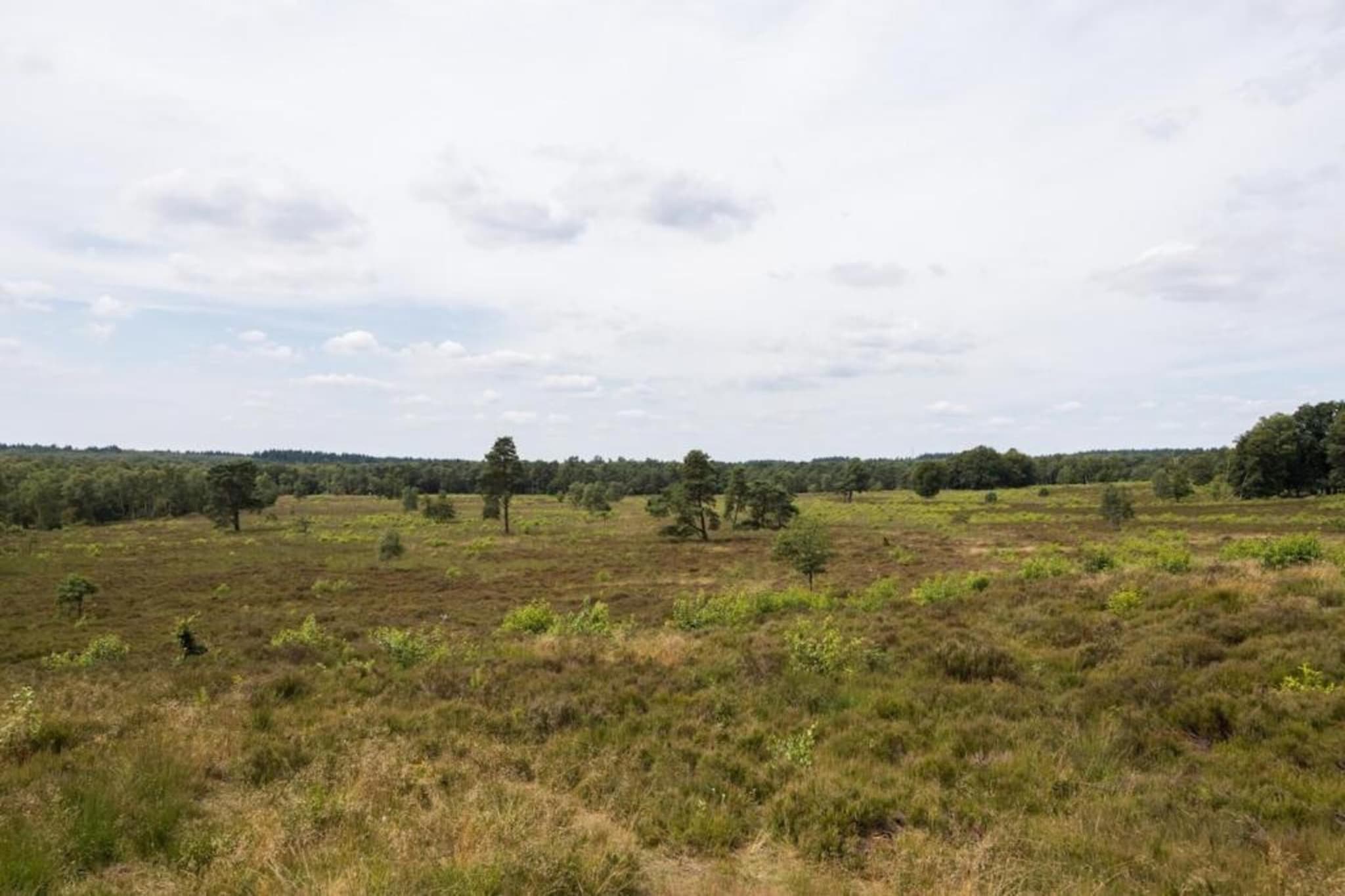 Bungalowpark Hoenderloo 1-Gebiete Sommer 20 km