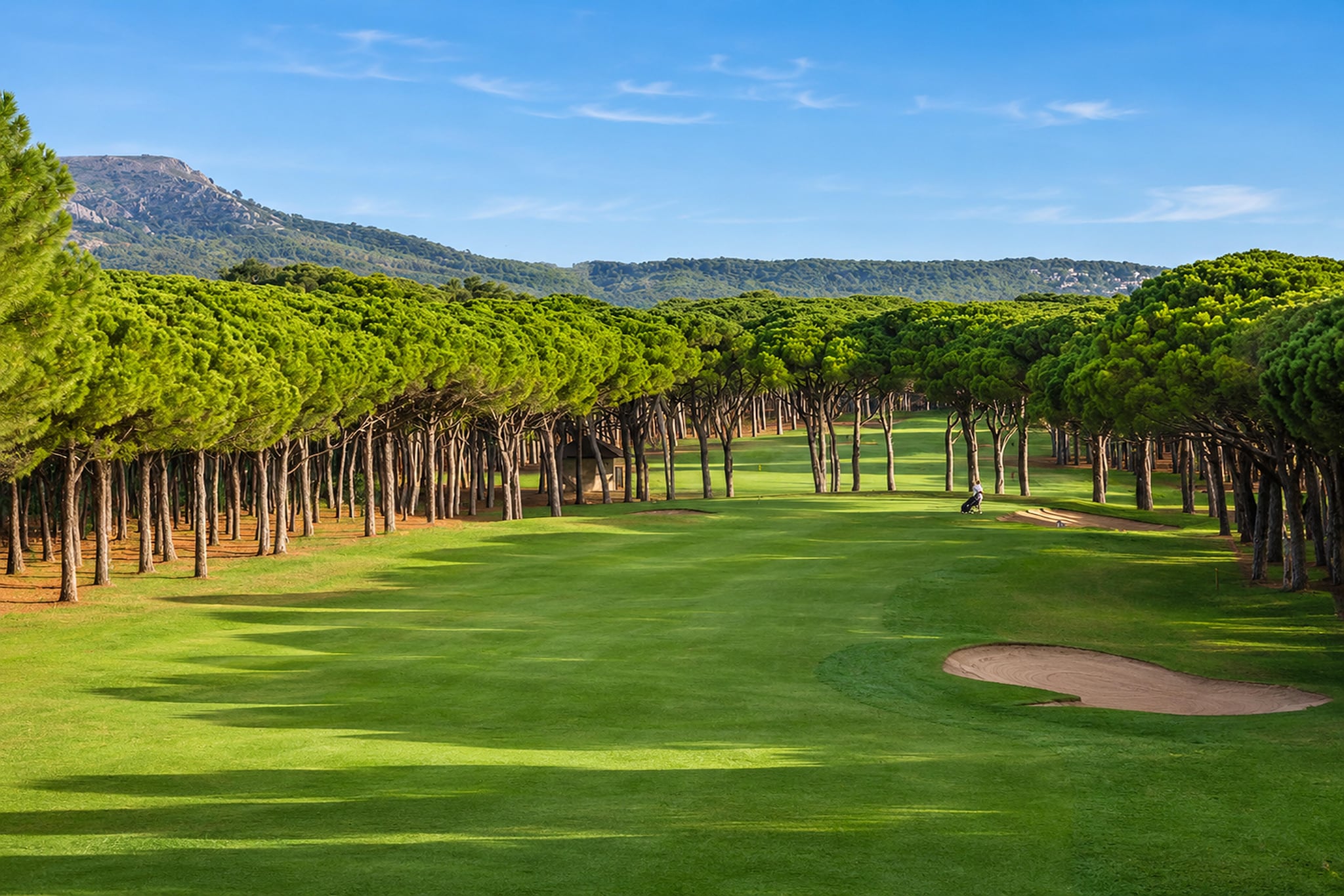 Apartamento C golf beach con piscina - Ambiance