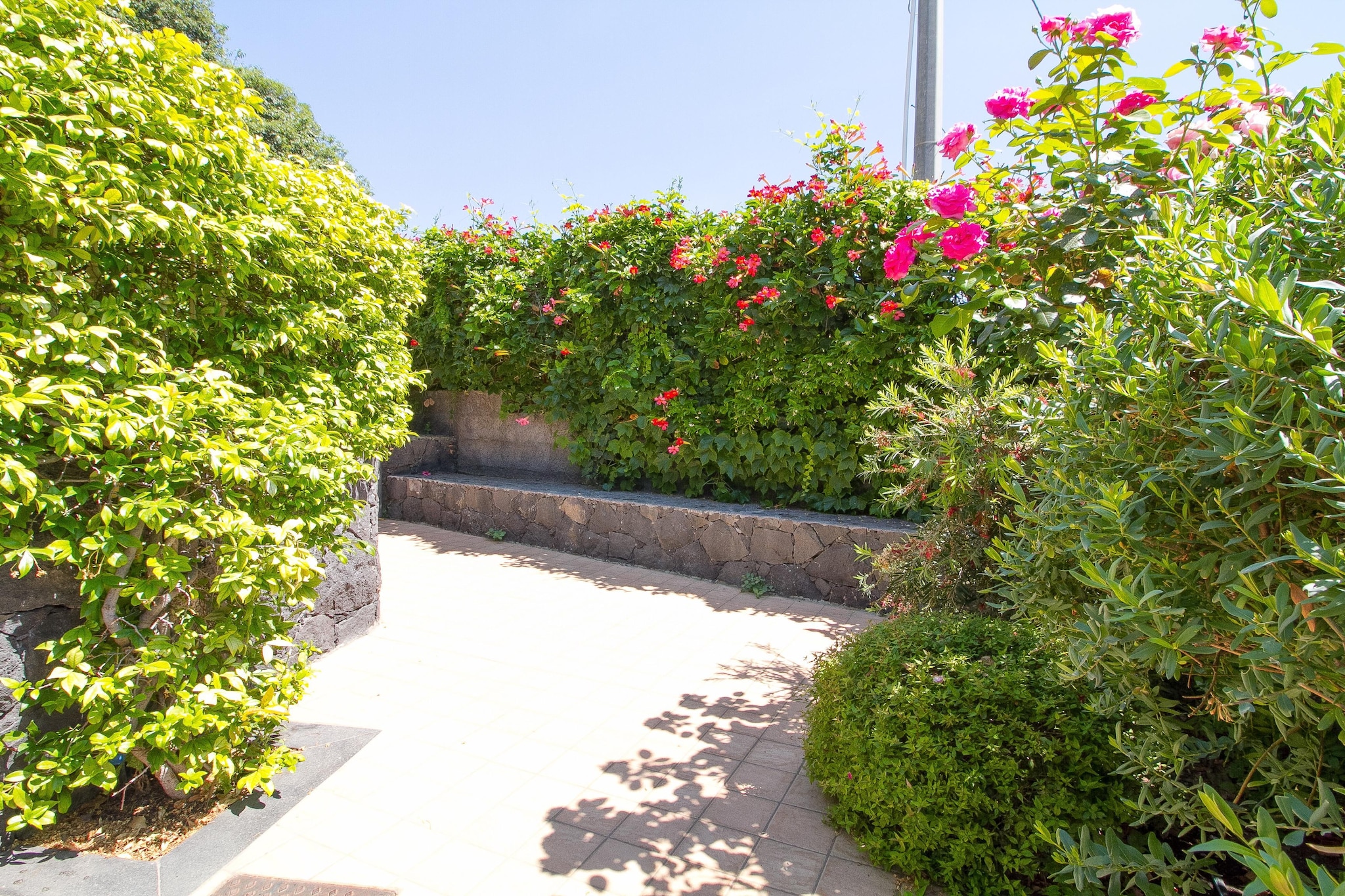 Nr 1 Appartamento Bilocale con giardino