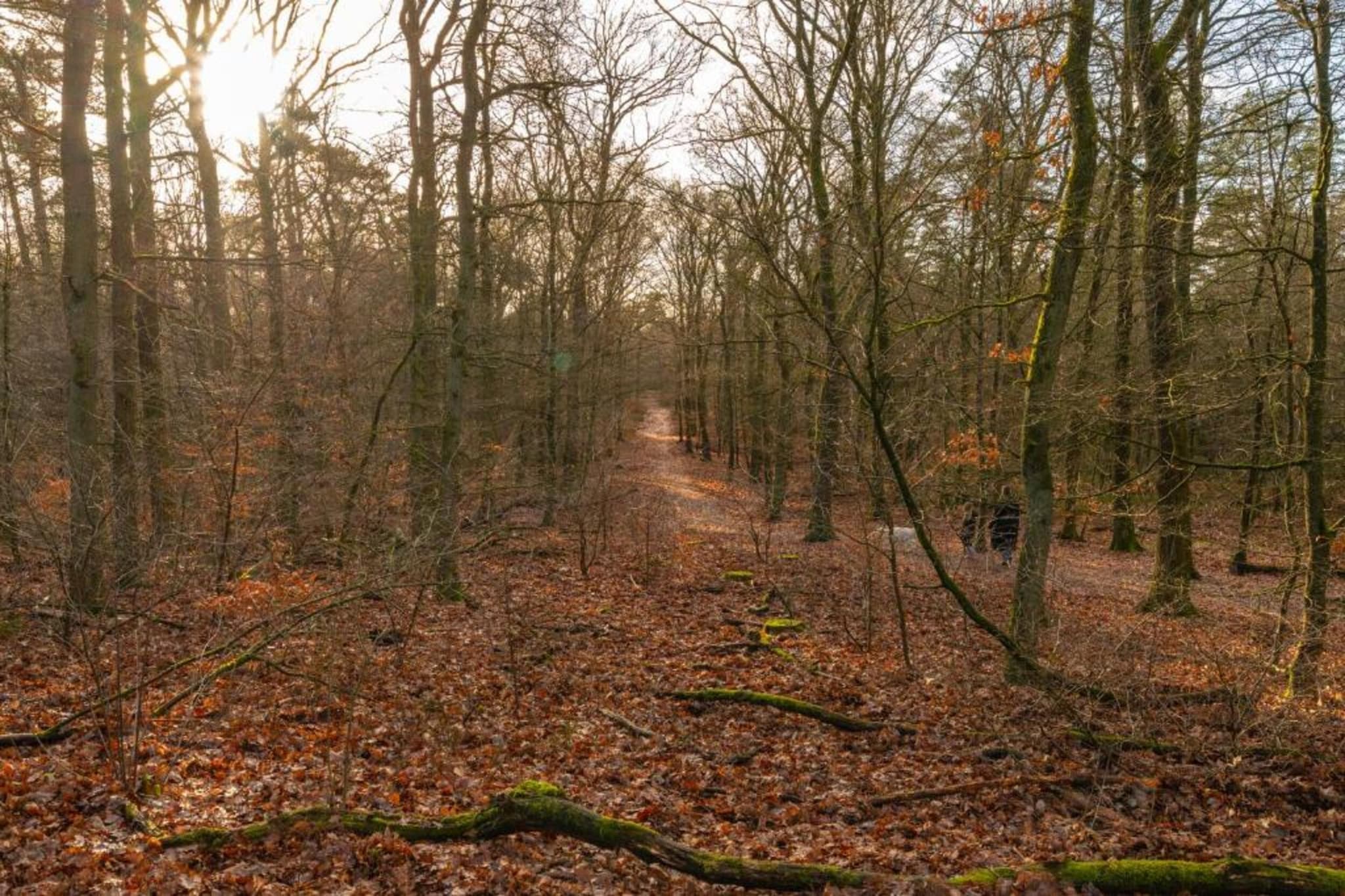 Bungalowpark Hoenderloo 2-Gebiete Sommer 20 km