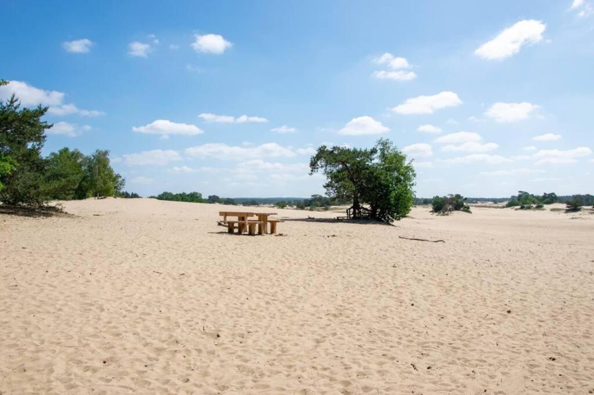Bungalowpark Hoenderloo 2-Gebiete Sommer 20 km