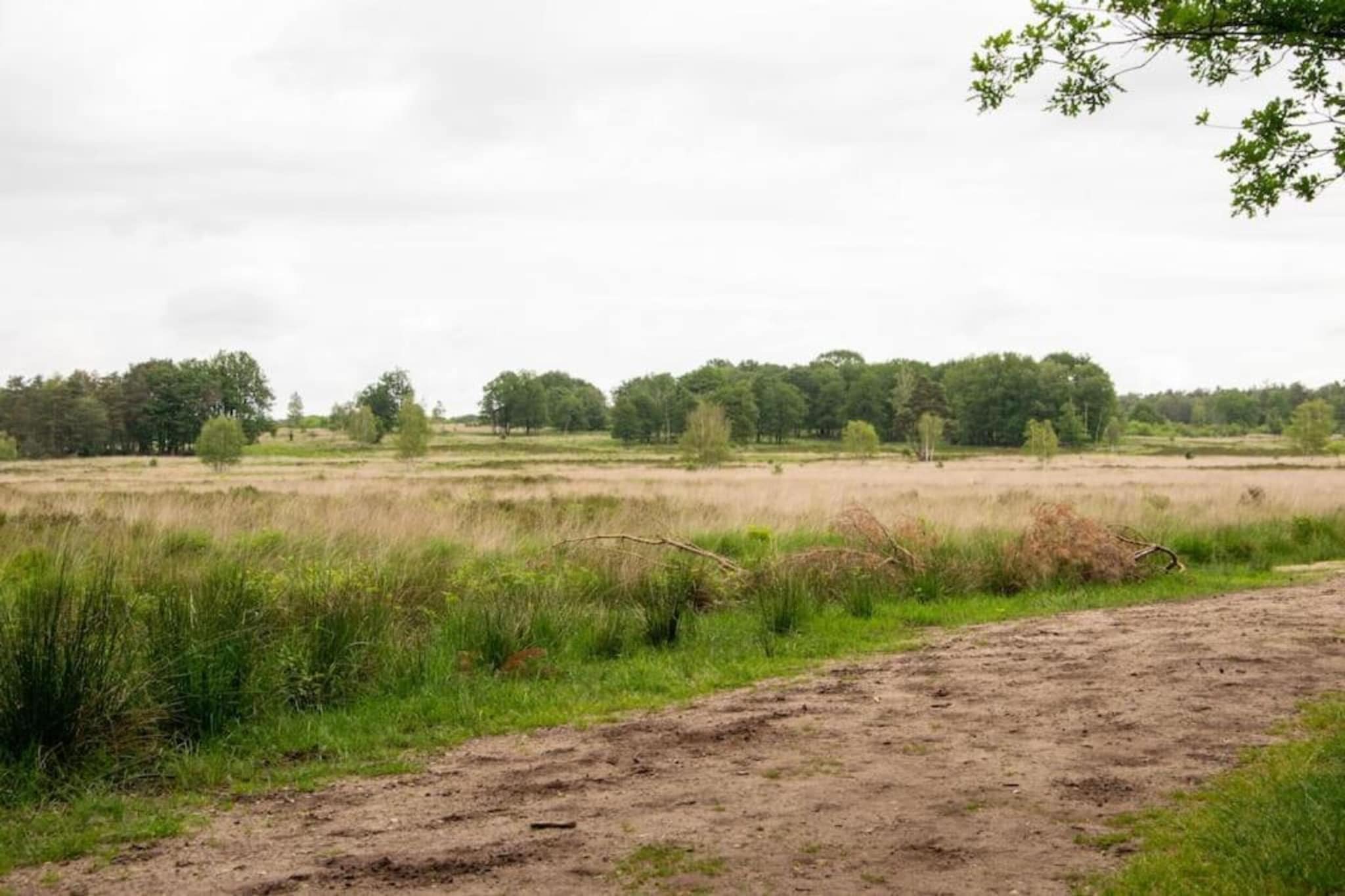 Bungalowpark Hoenderloo 2-Gebiete Sommer 20 km