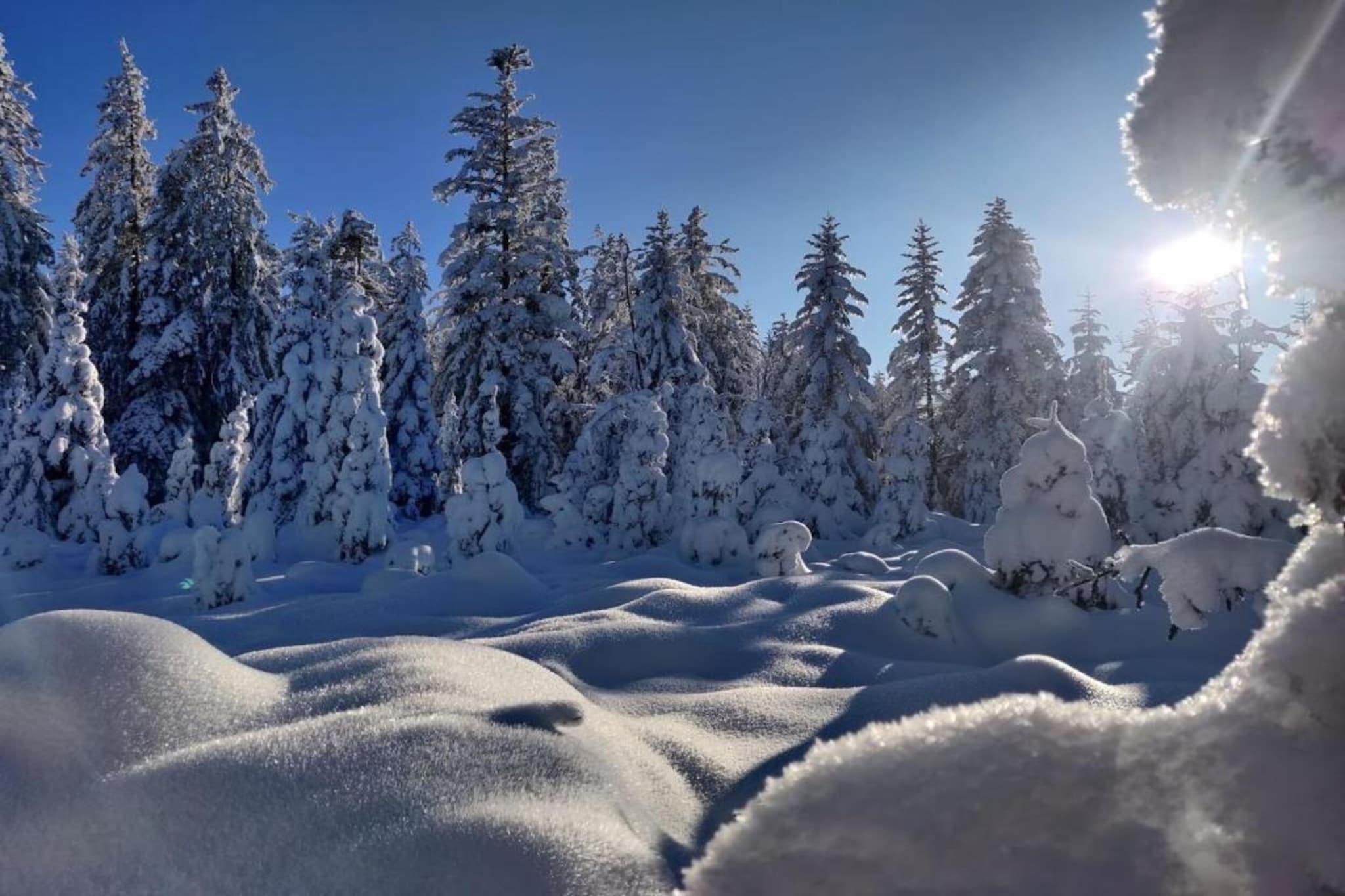 Le Menil-Gebied winter 20km