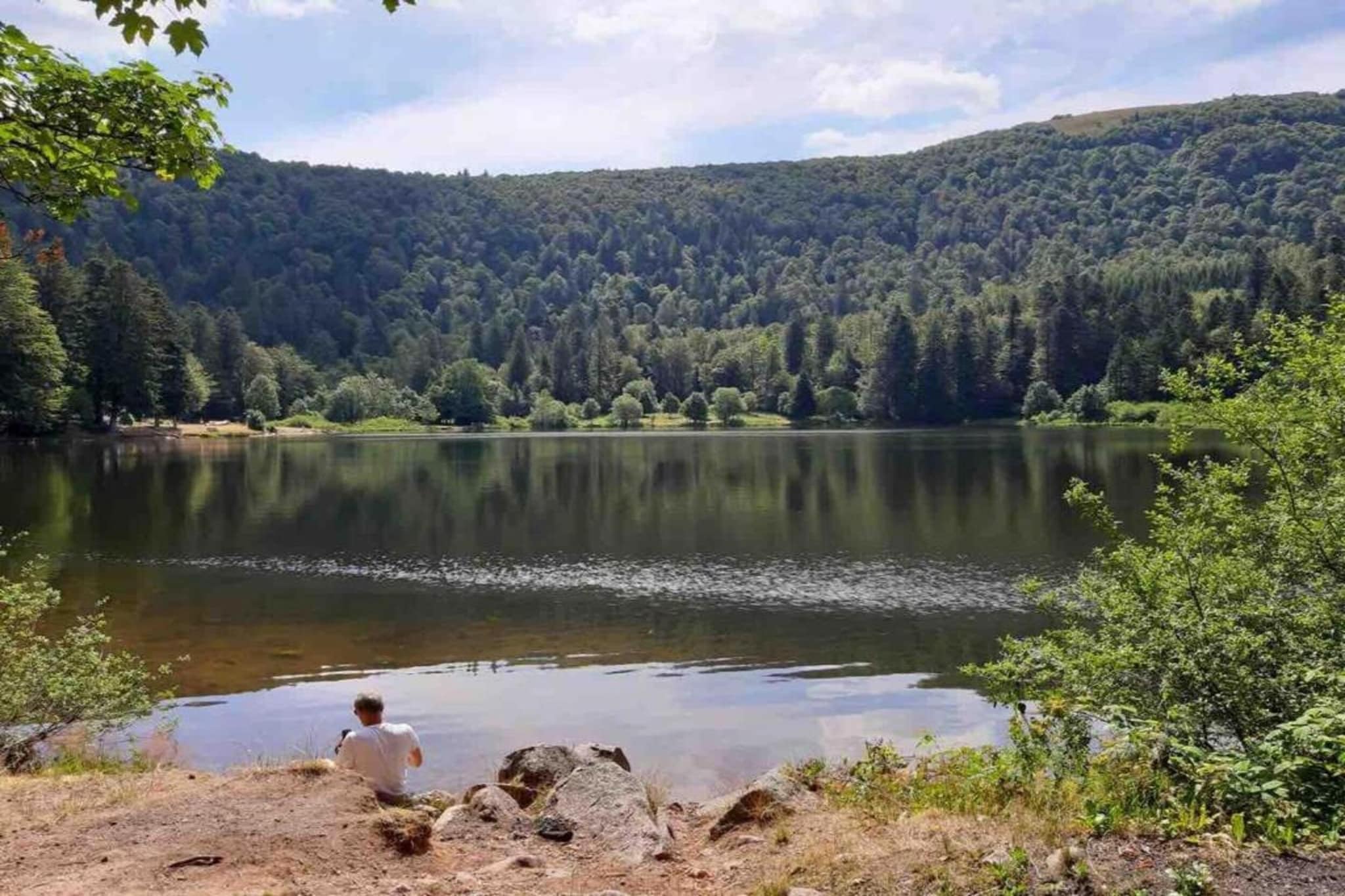 Le Menil-Gebieden zomer 20km