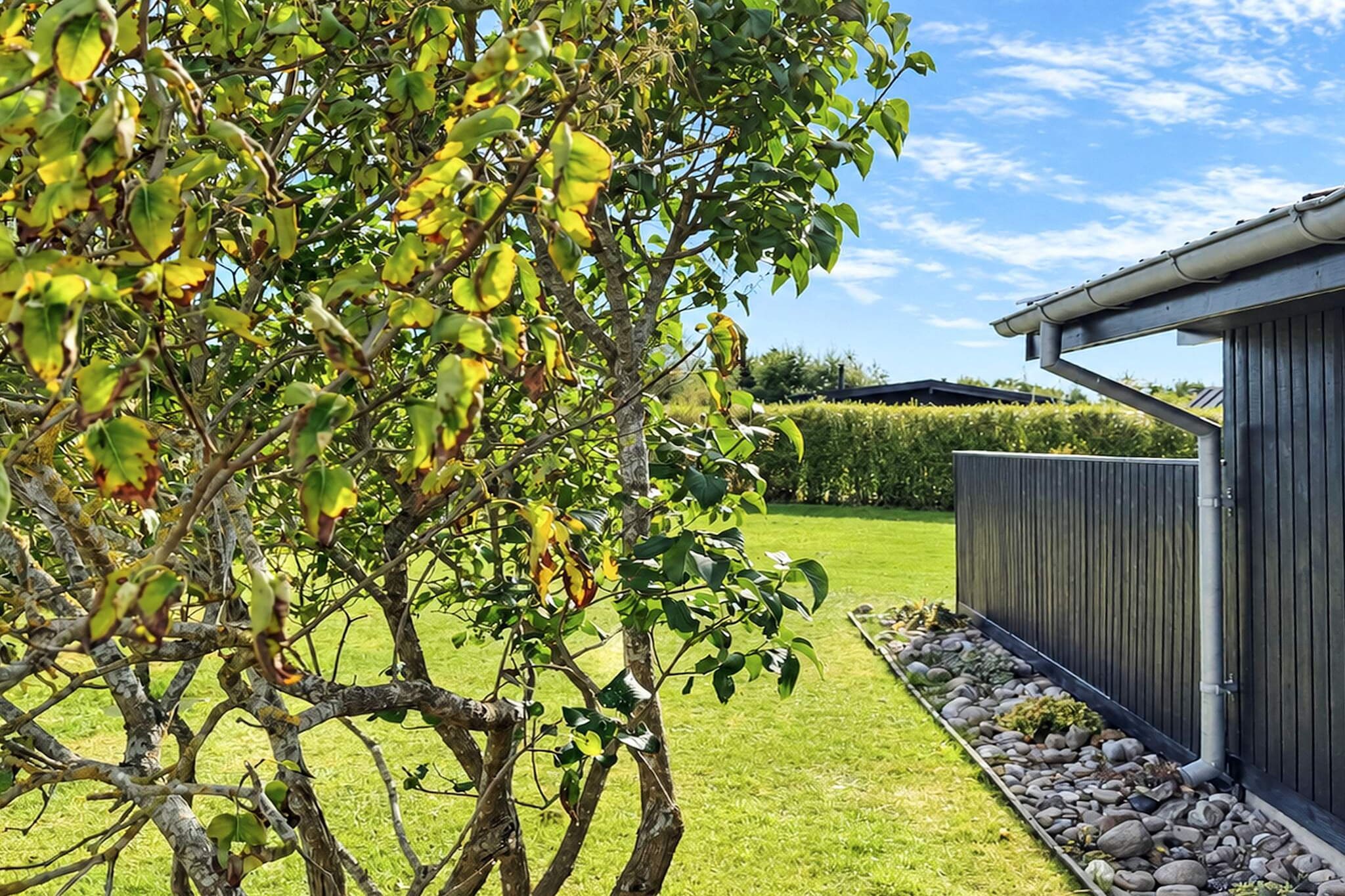 4 Sterne Ferienhaus in Juelsminde - Im Freien