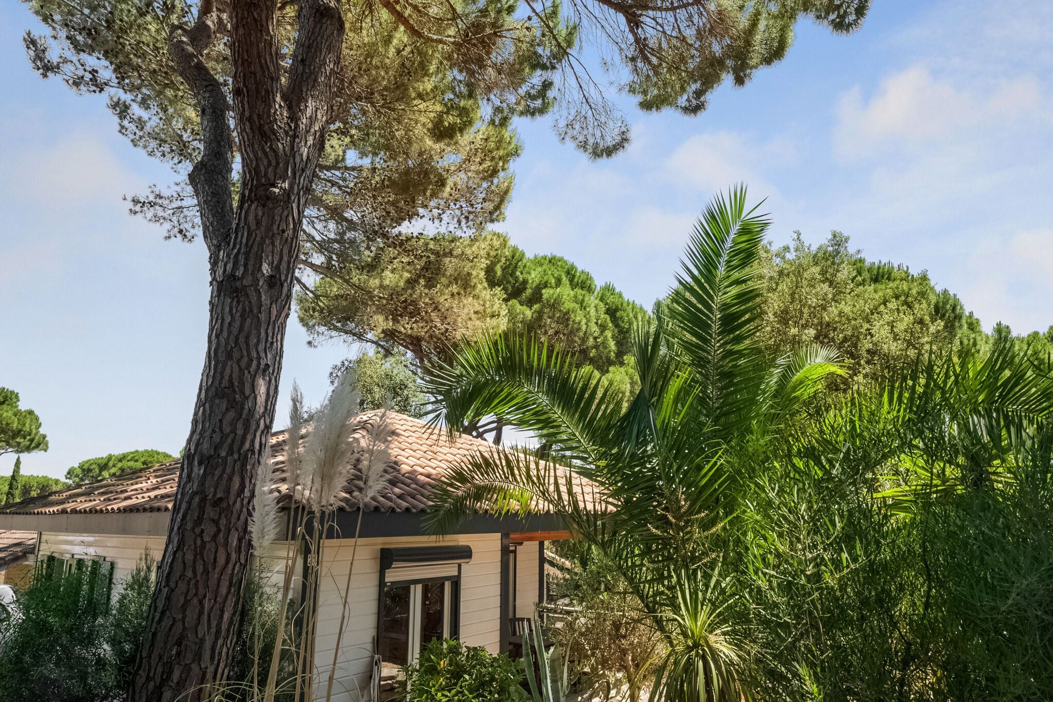 Vakantiehuis Lavande vlak bij Saint-Tropez met privéterras