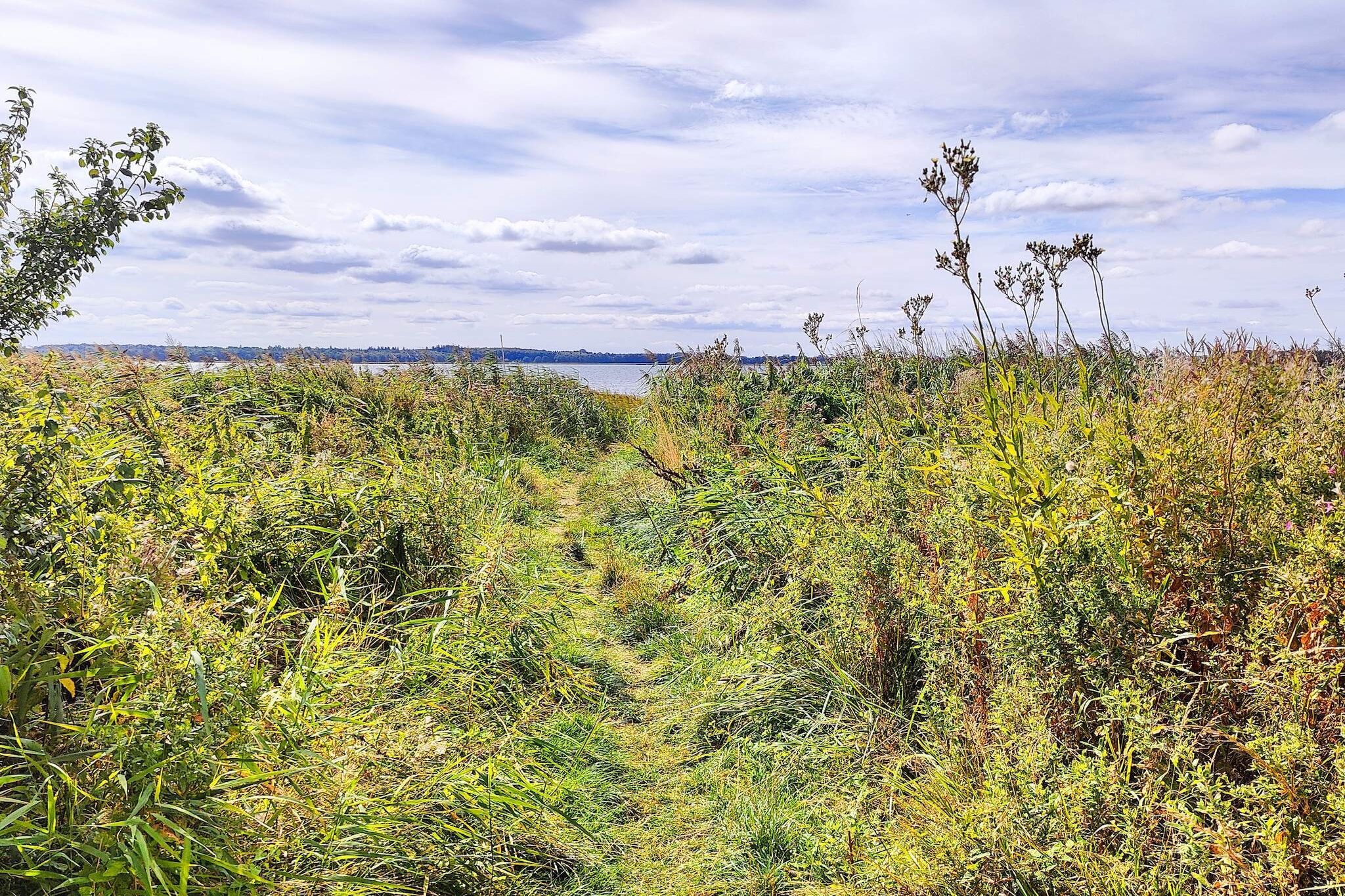 4 etoiles maison de vacances a Orø
