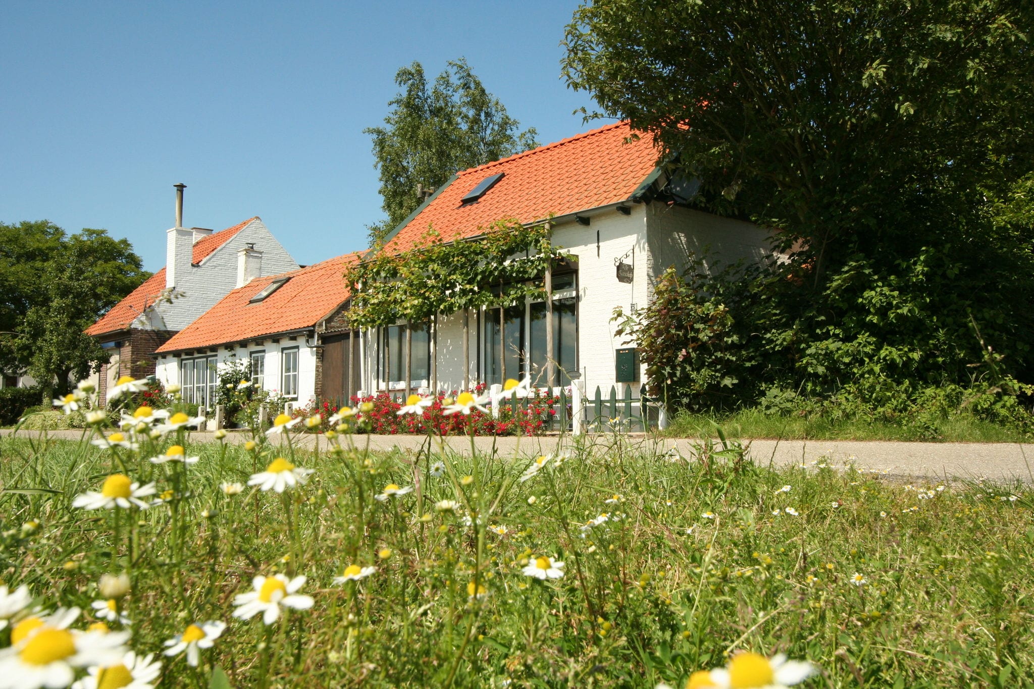 Comfortable holiday home in Schoondijke with a terrace
