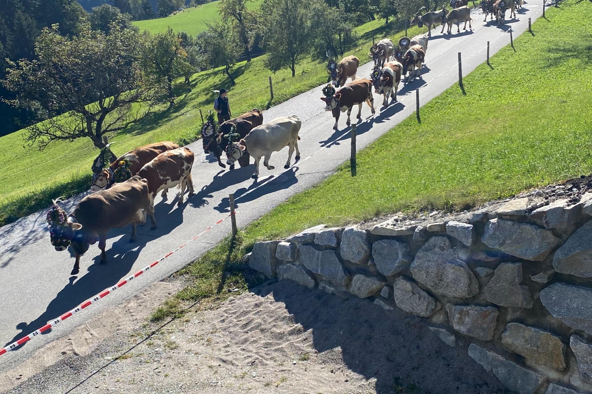 Apartment Brandacher - Areas within 20km in summer