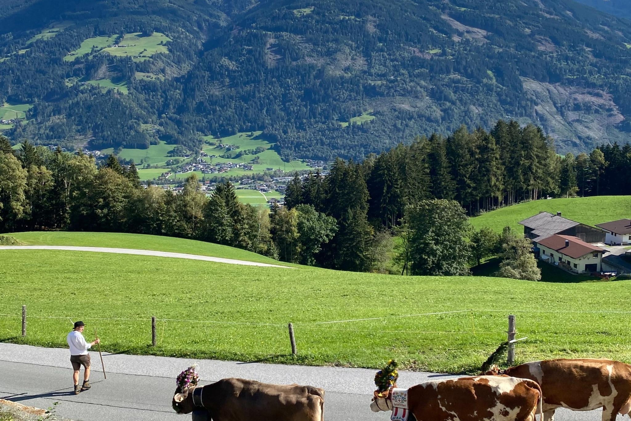 Apartment Brandacher - Areas within 20km in summer