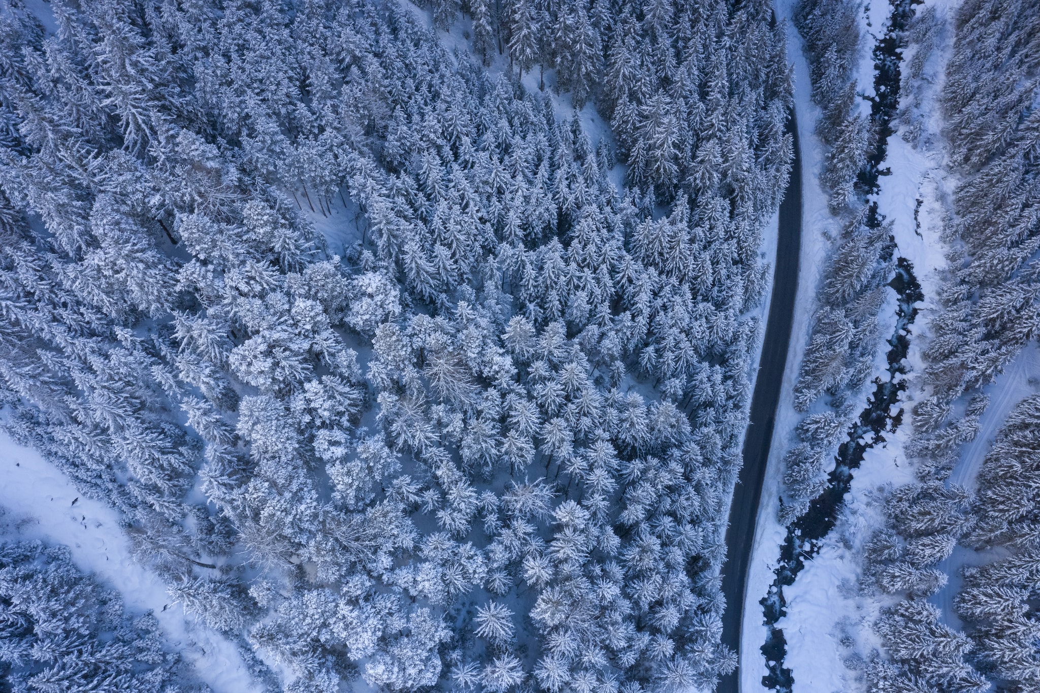 Apart Monte Vista - Gebied winter 20km