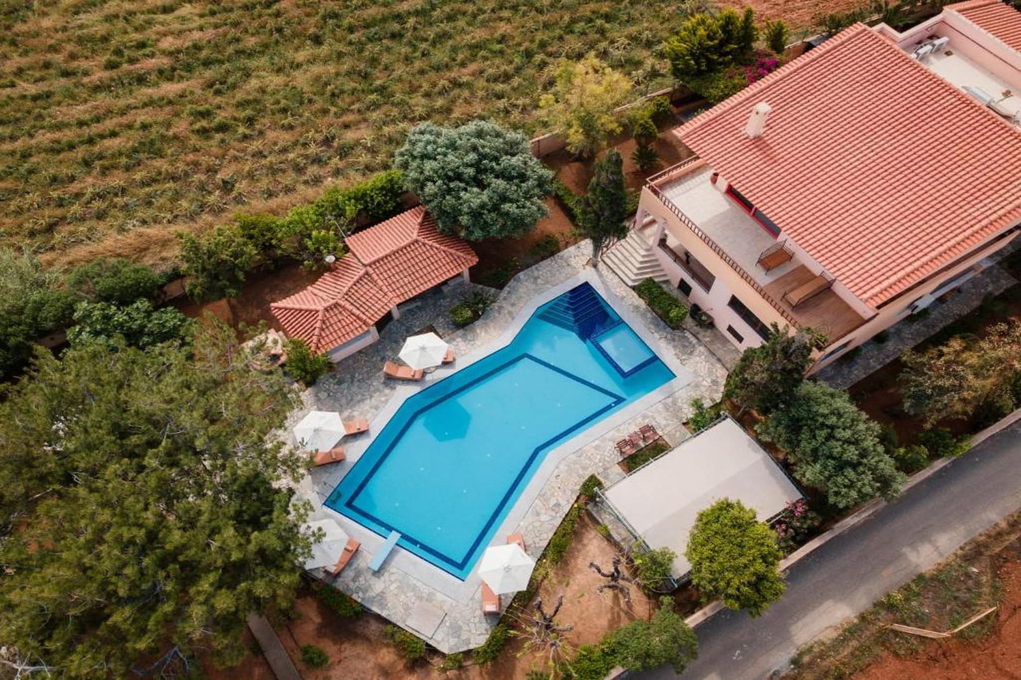 Villa Noemi - Extérieur été