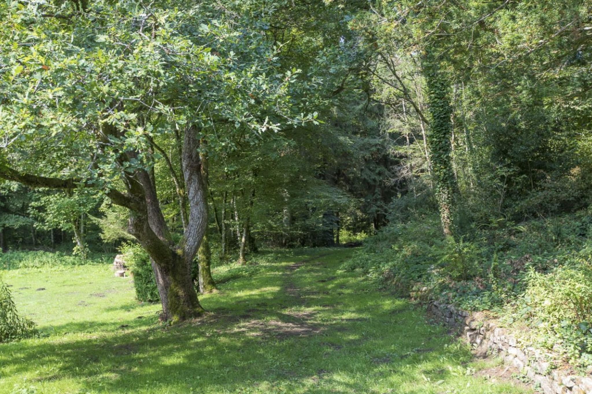 Le Petit Moulin - Tuinen zomer