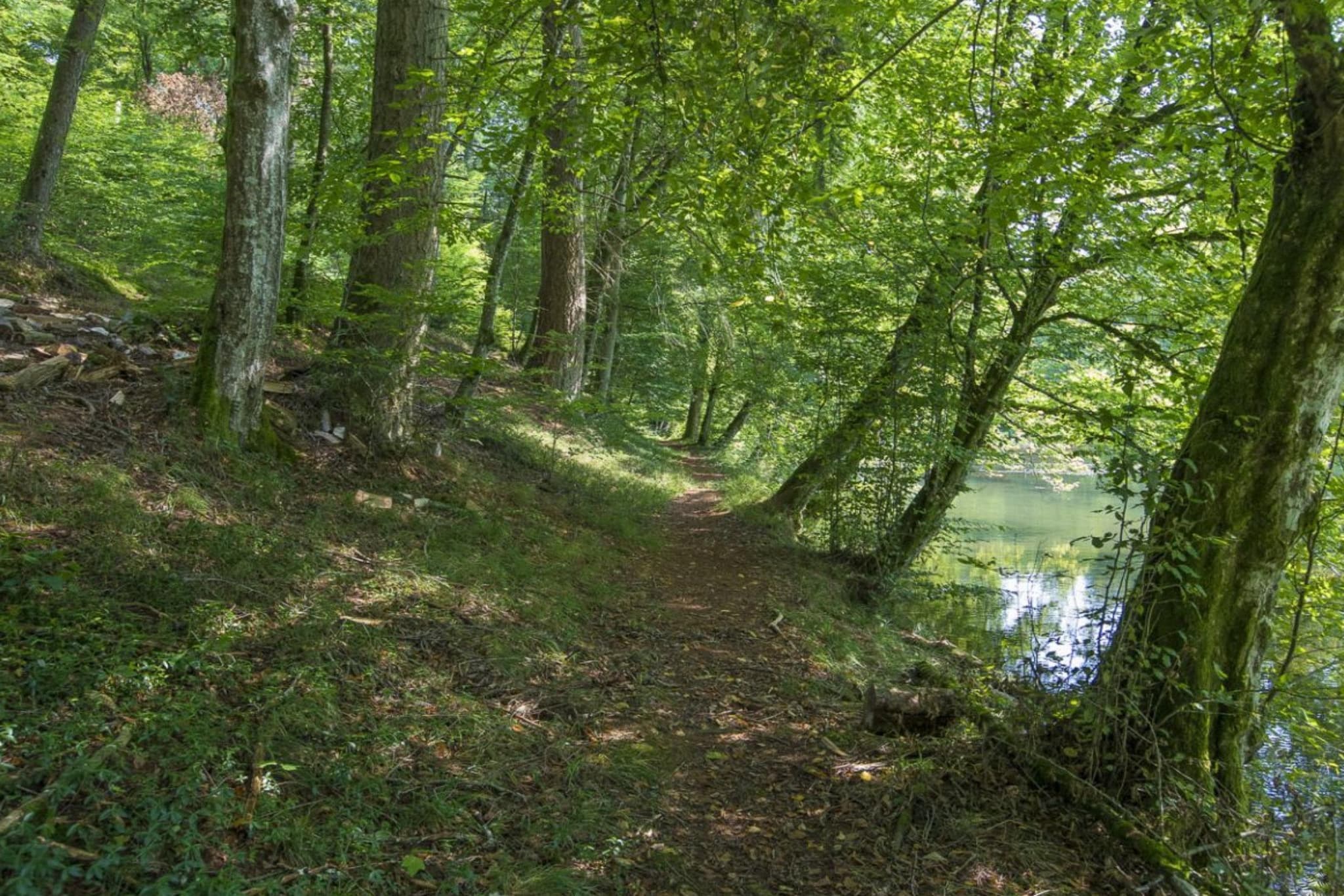 Le Petit Moulin - Gebieden zomer 5km