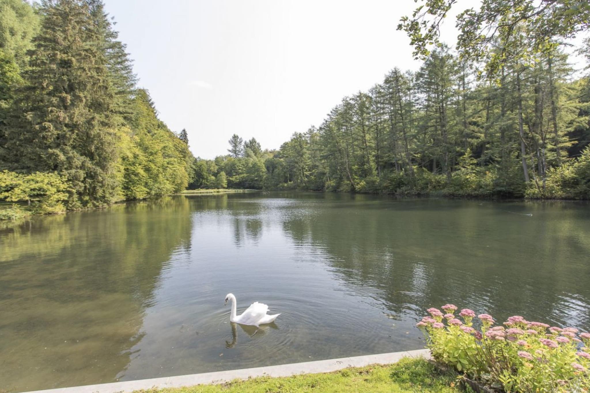 Le Petit Moulin - Image-tags.water view