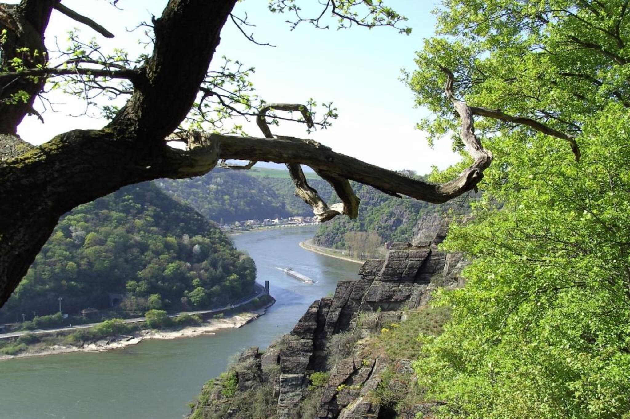Wyndham Garden Koblenz - Gebiete Sommer 5 km