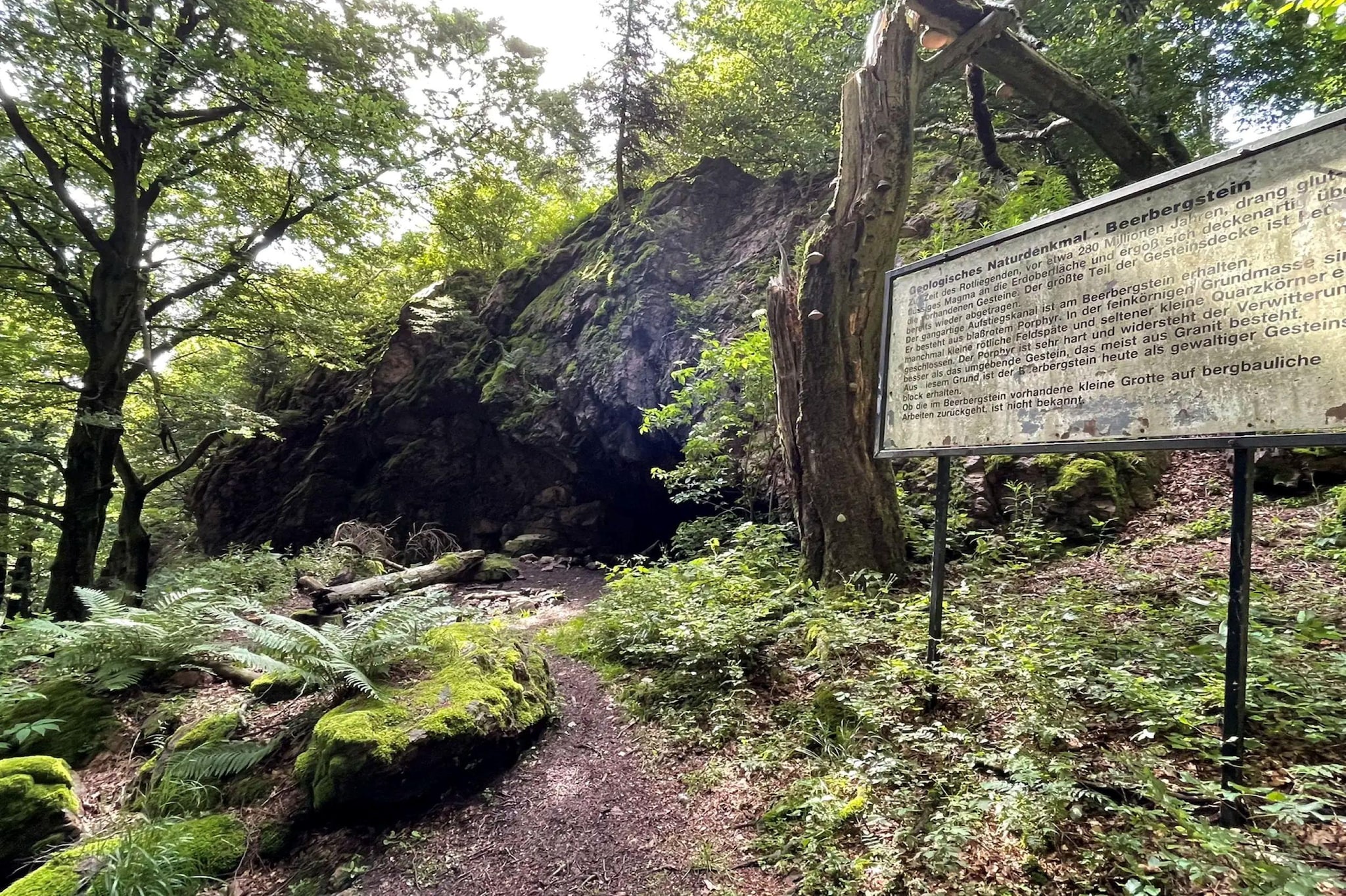 Ferienhaus Lieselotte im Herzen des Thüringer Waldes - Gebieden zomer 20km