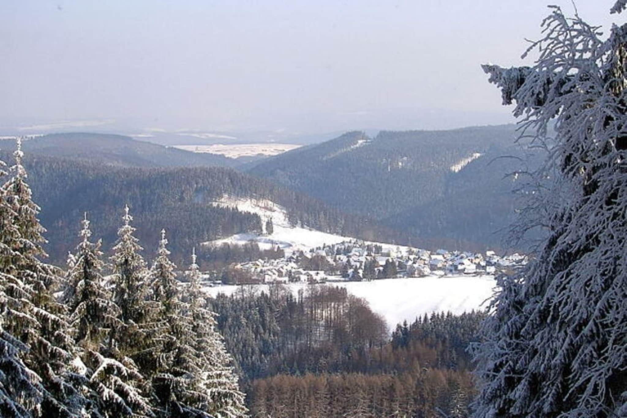 Ferienhaus Lieselotte im Herzen des Thüringer Waldes - Gebied winter 20km