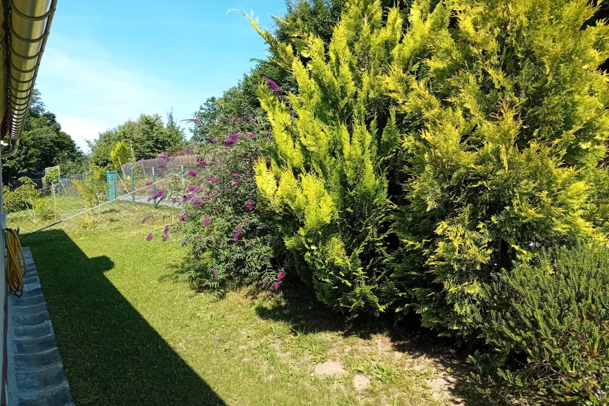 Bungalow Waldidyl im Erzgebirge - Tuinen zomer
