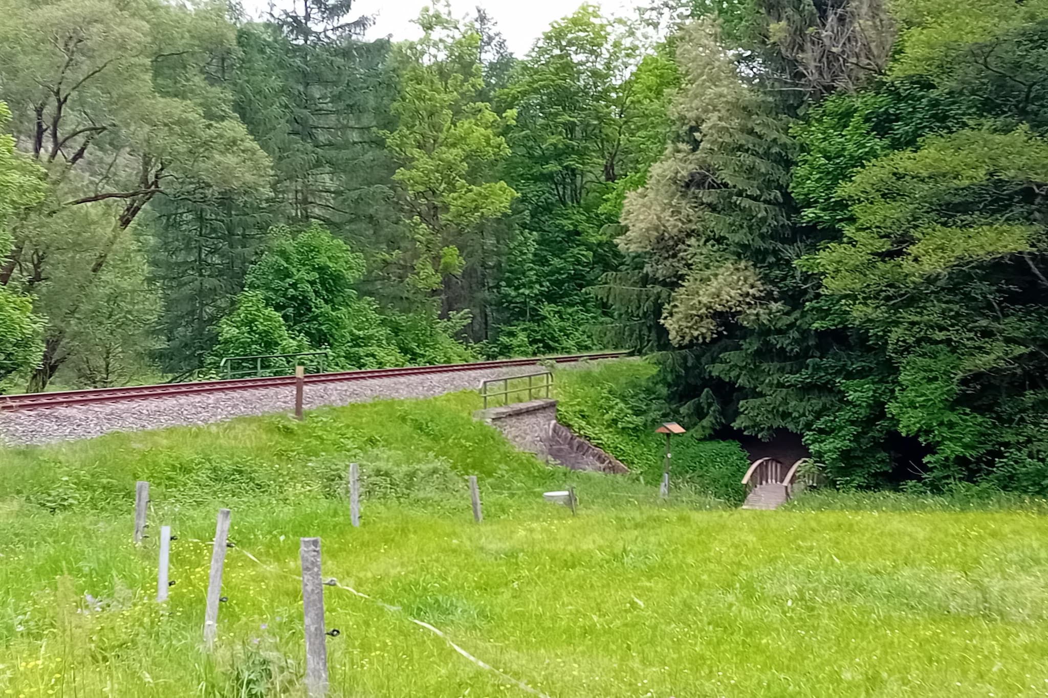 Bungalow Waldidyl im Erzgebirge - Gebieden zomer 1km