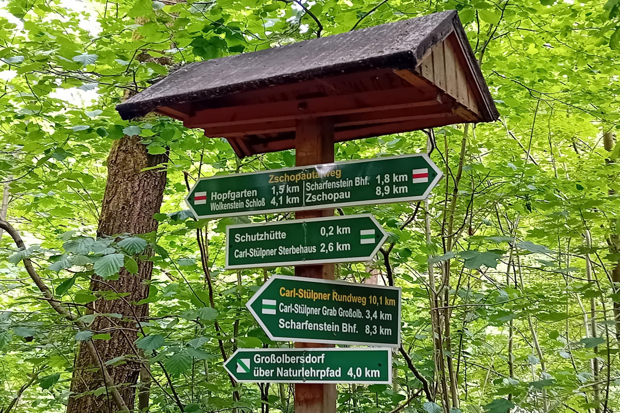 Bungalow Waldidyl im Erzgebirge - Gebieden zomer 1km
