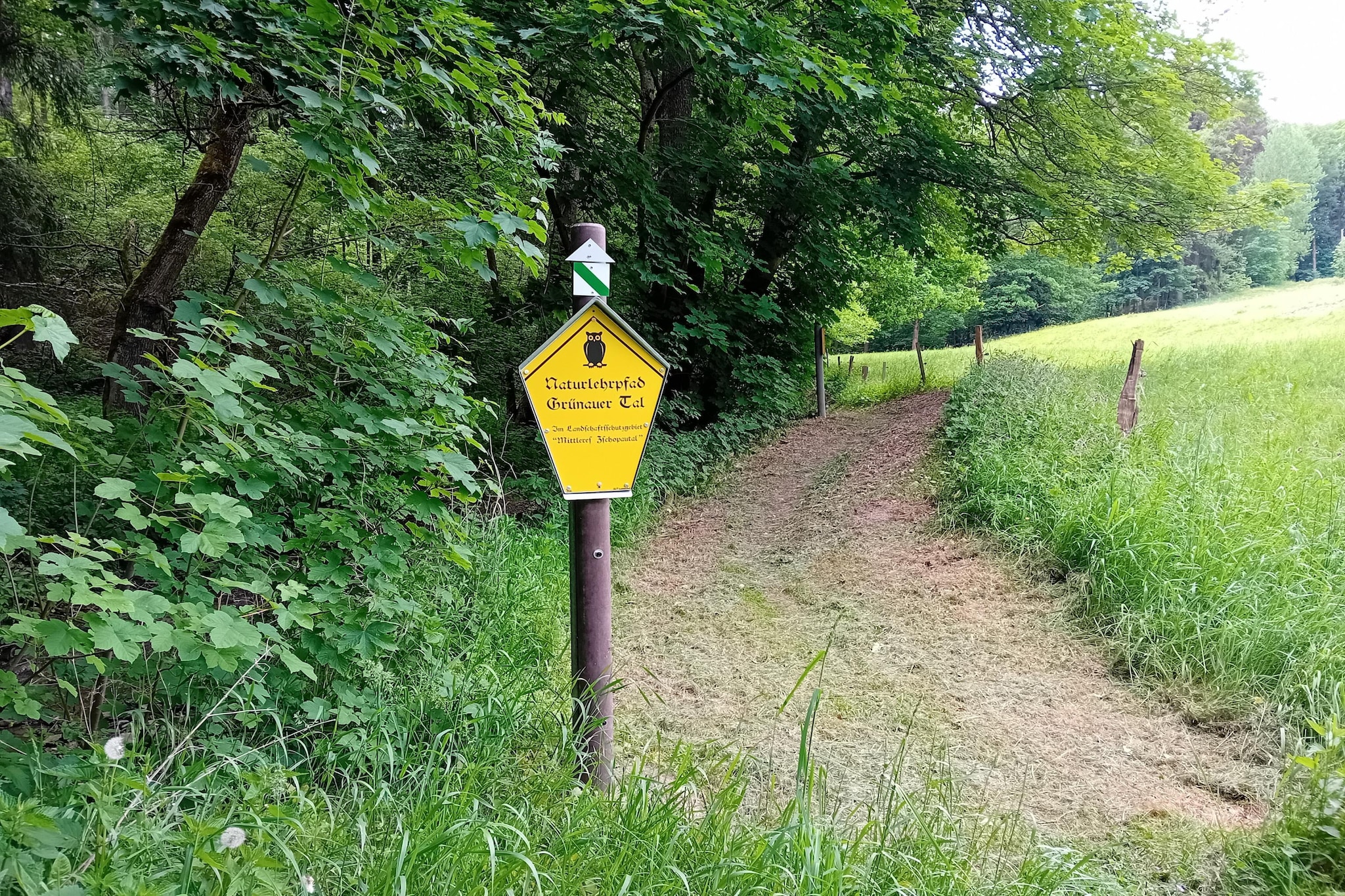 Bungalow Waldidyl im Erzgebirge - Gebieden zomer 1km