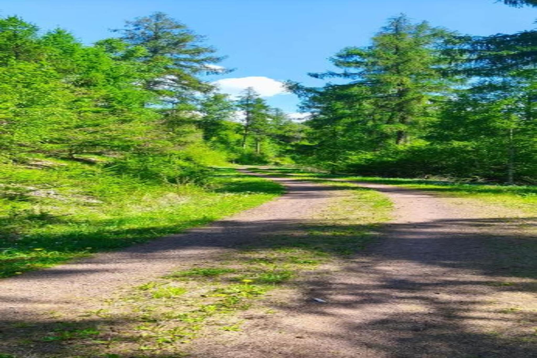 Holzhaus Ute-Gebieden zomer 20km