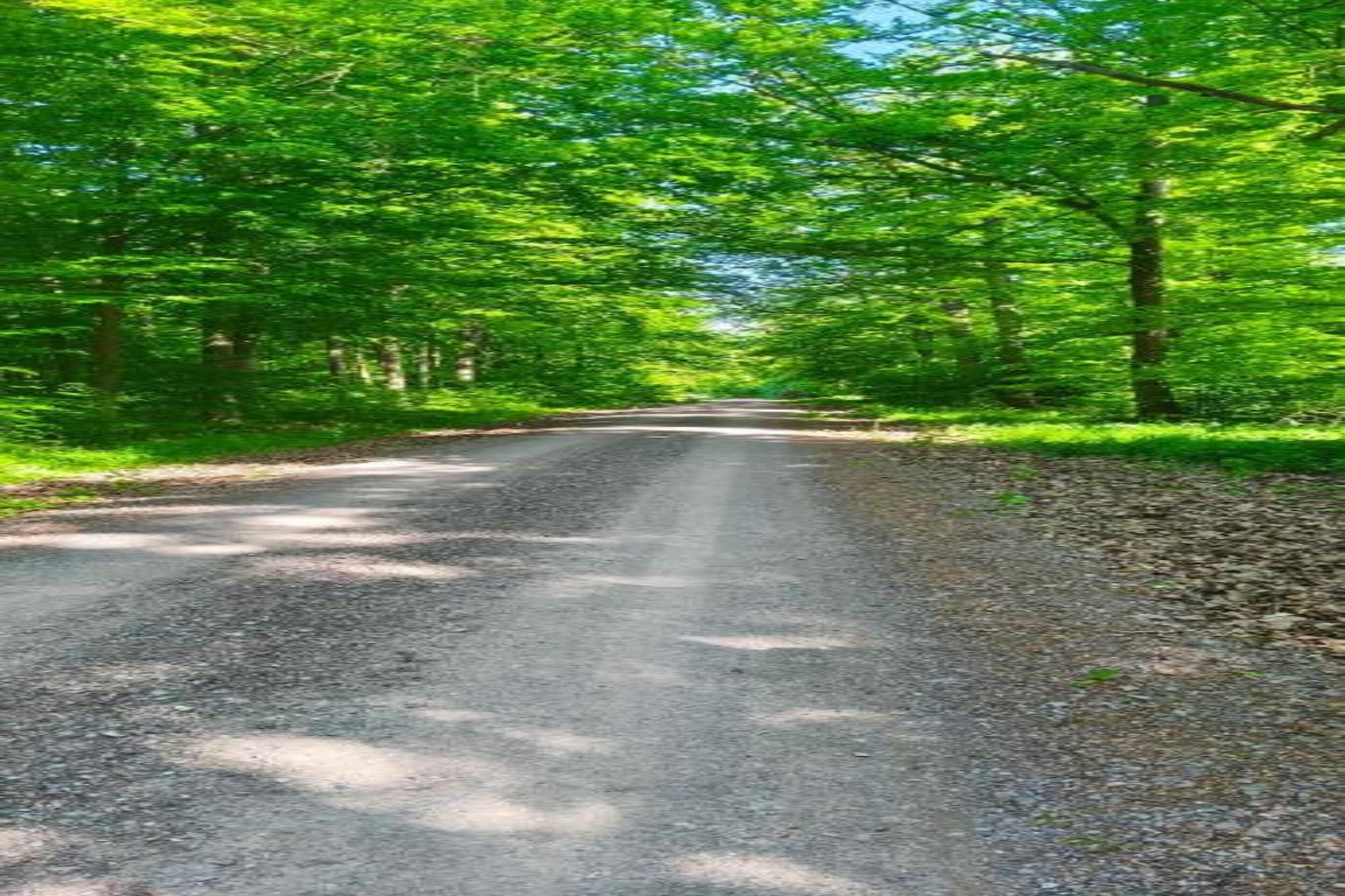 Holzhaus Ute-Gebieden zomer 20km
