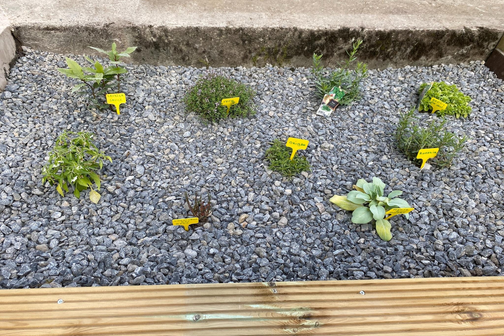 My Little House - Jardins en été