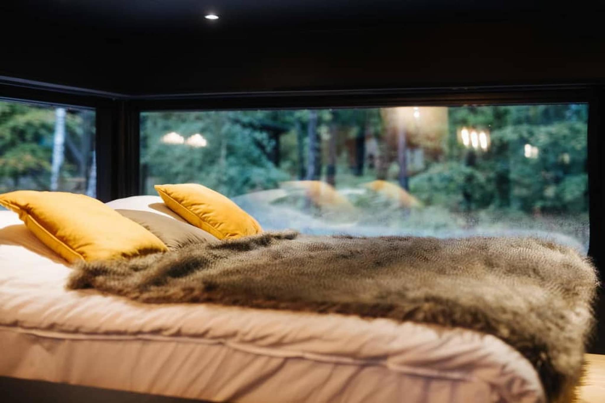 Forest Cube RELAX