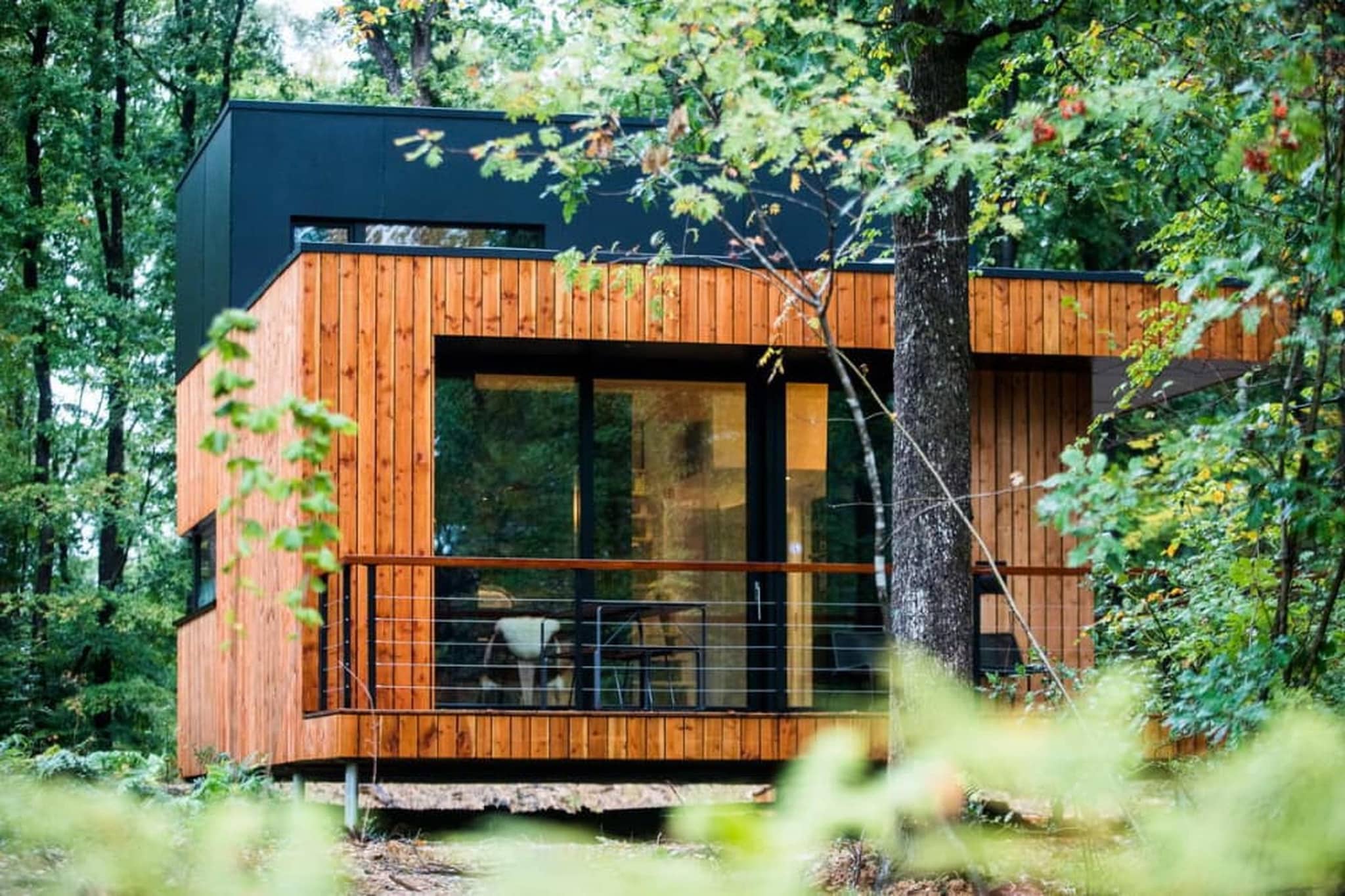 Forest Cube RELAX - Buitenkant zomer