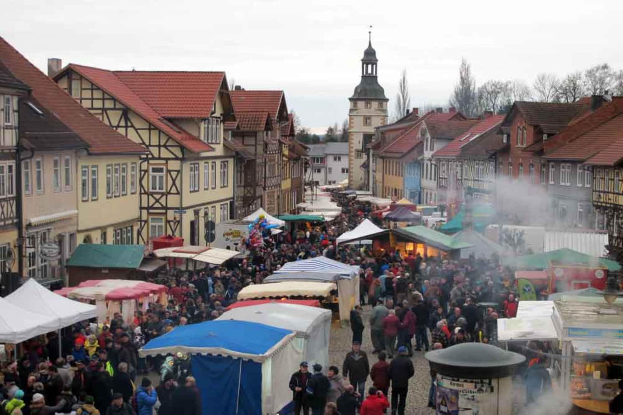 Modernes Apartment im Herzen von Thüringen - Zones été à 5 km