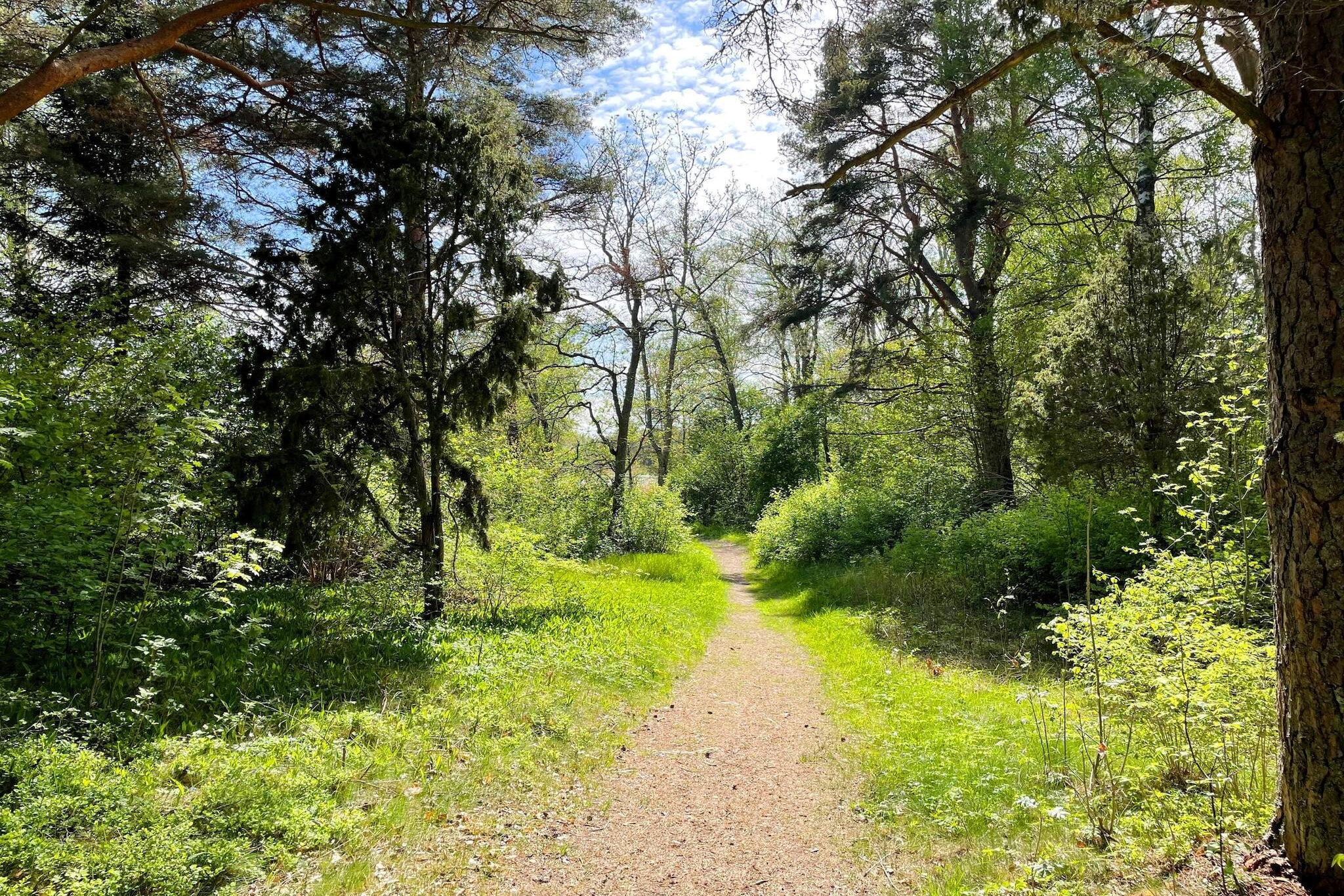 4 Sterne Ferienhaus in Gräddö - Nicht zugeordnet