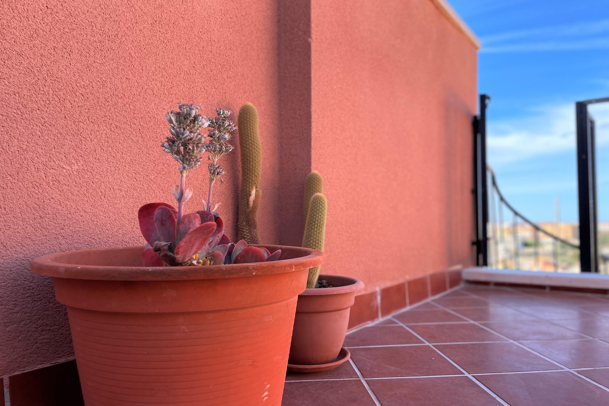 Brasil lux - Terrace balcony