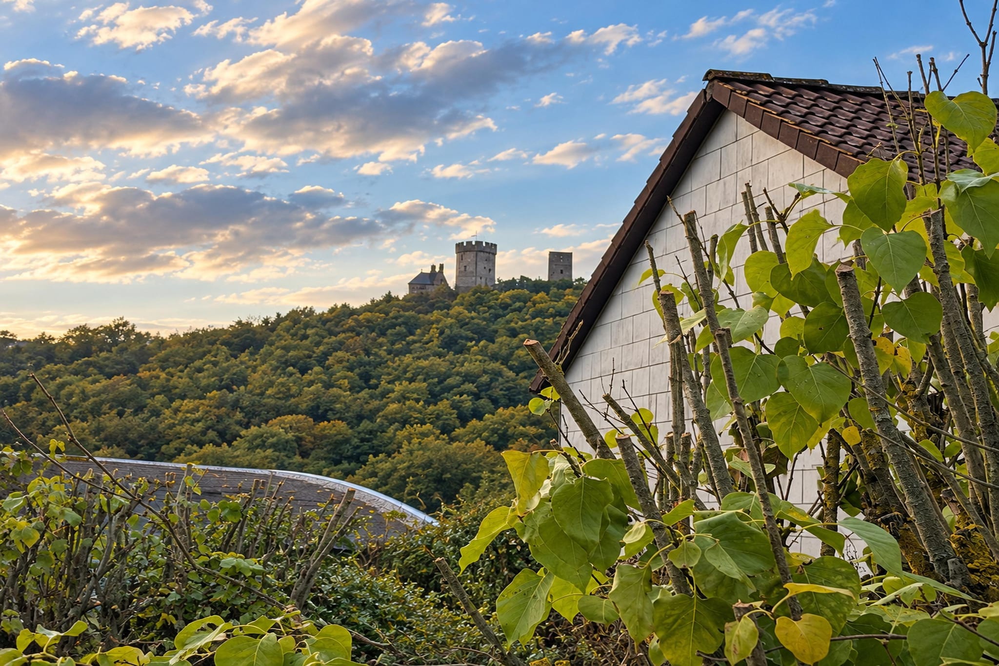 Ferienhaus Eifelglück - Uitzicht zomer