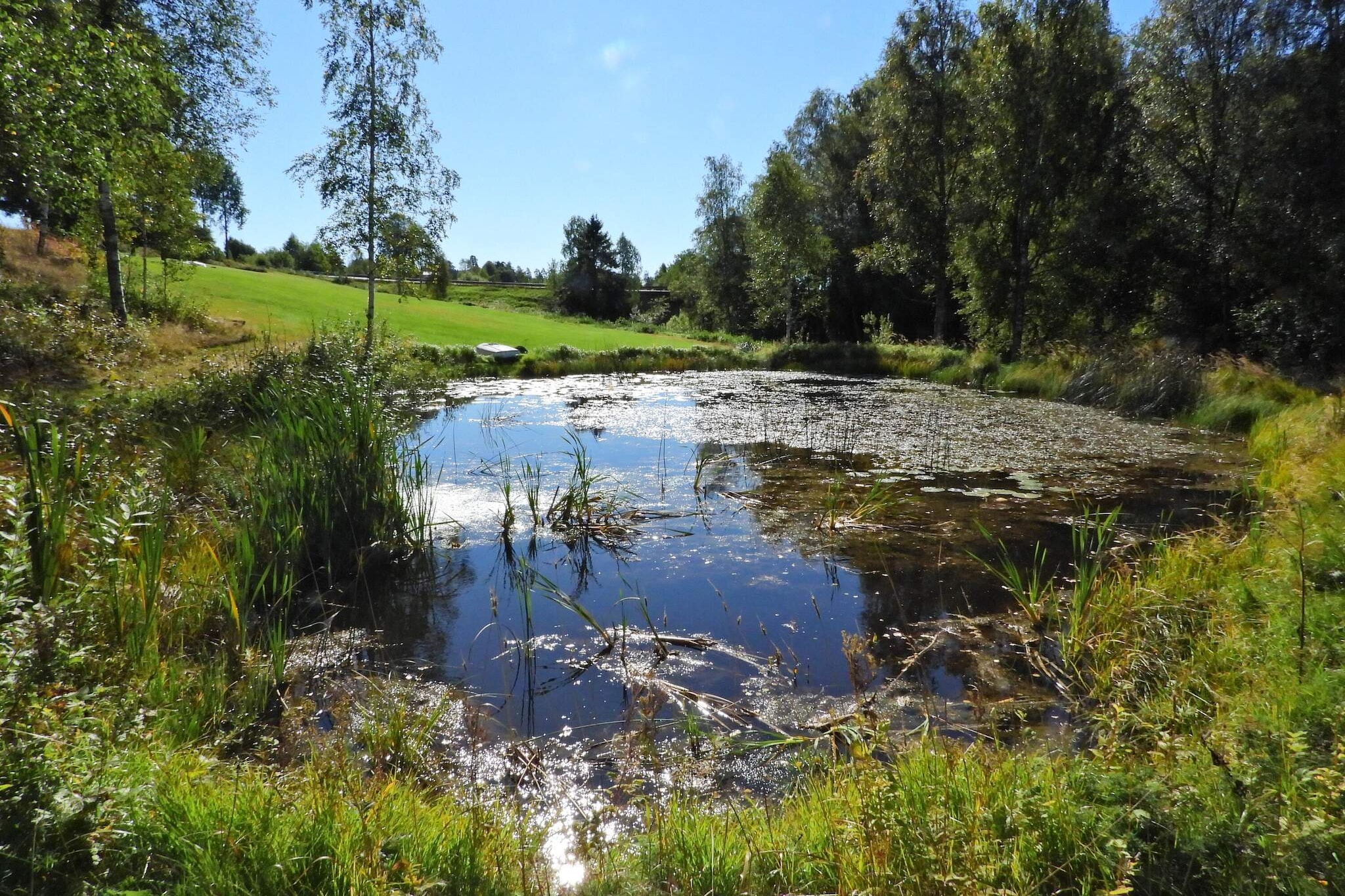 4 Sterne Ferienhaus in ÅRJÄNG - Im Freien