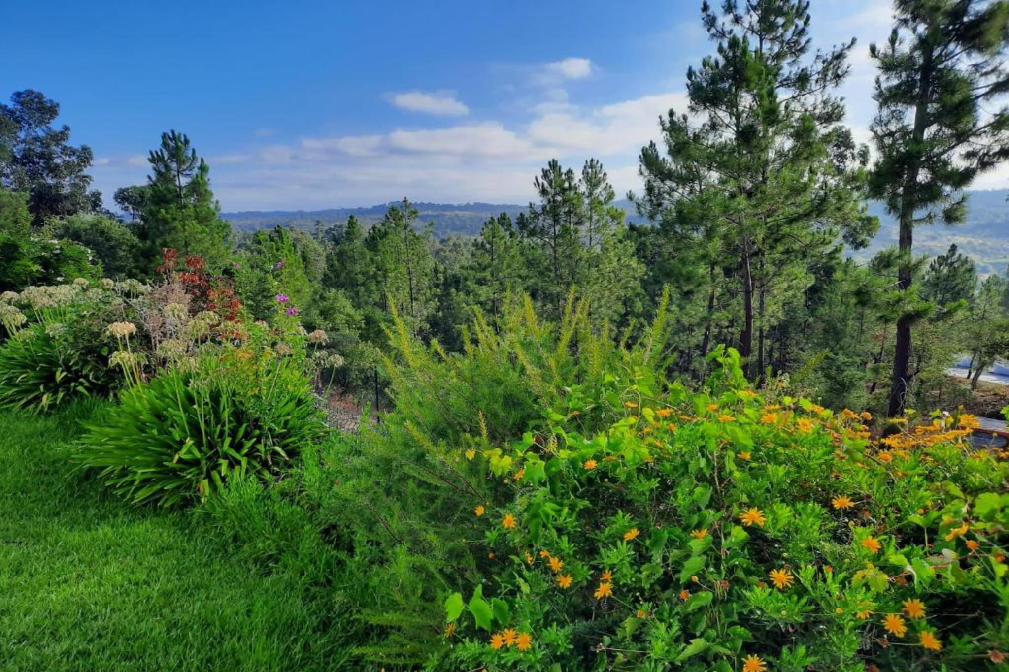 Casa Bela Esperança-Zones d'été à 20 km