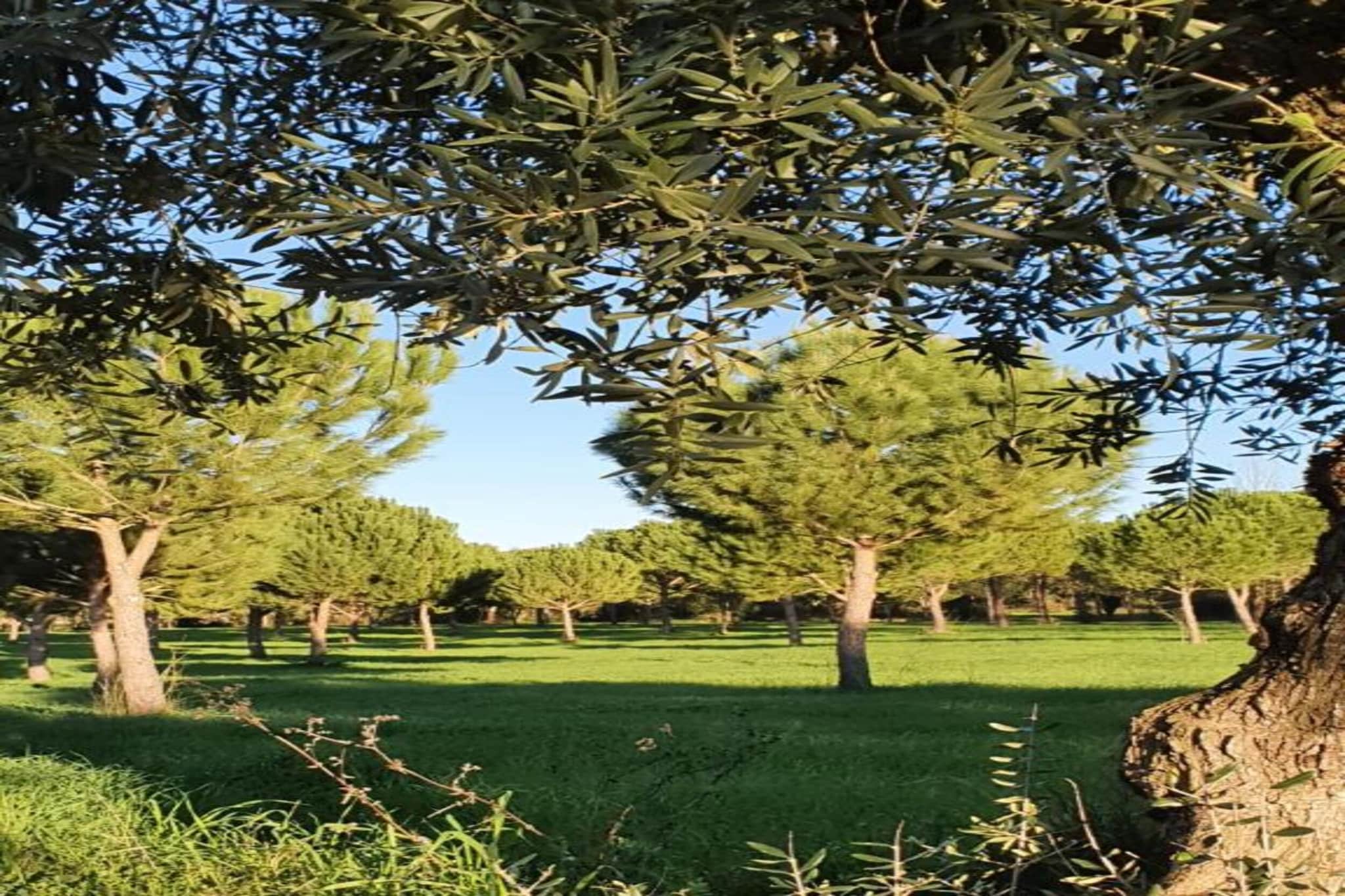 Casa Bela Esperança-Zones d'été à 20 km