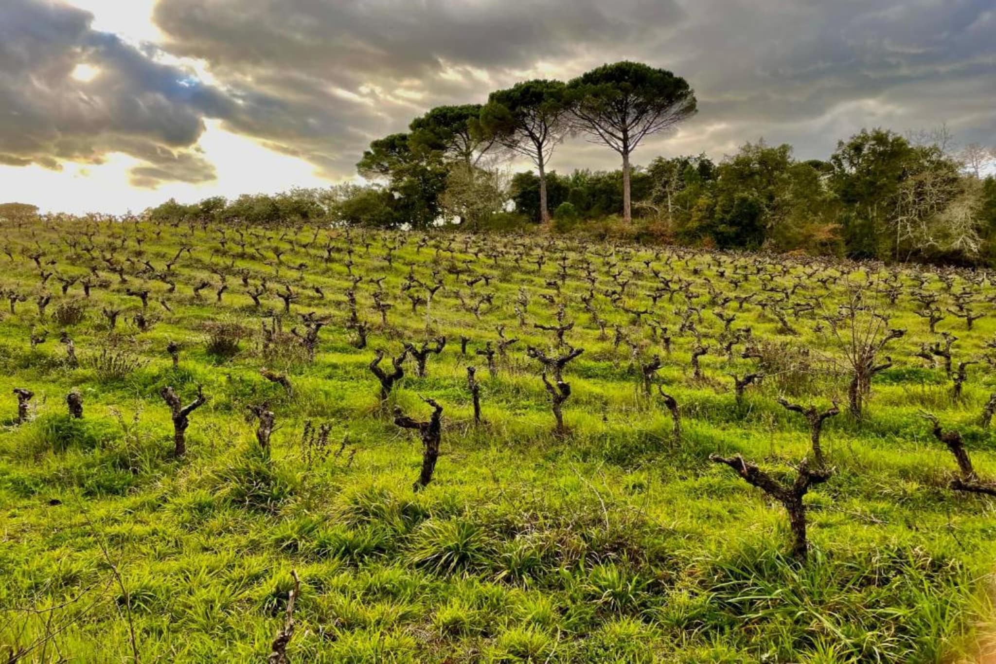 Casa Bela Esperança-Zones d'été à 20 km