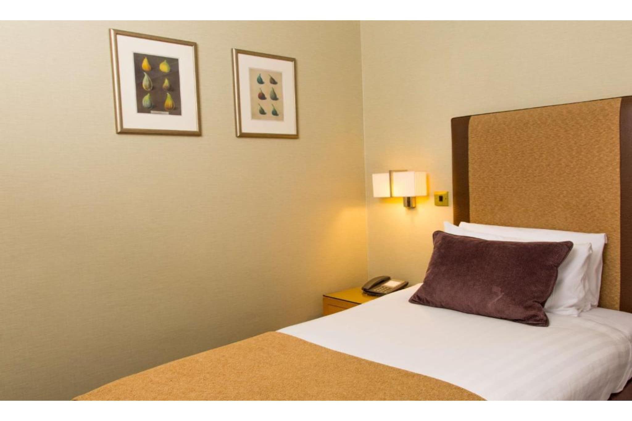 Standard Single Room - Chambre