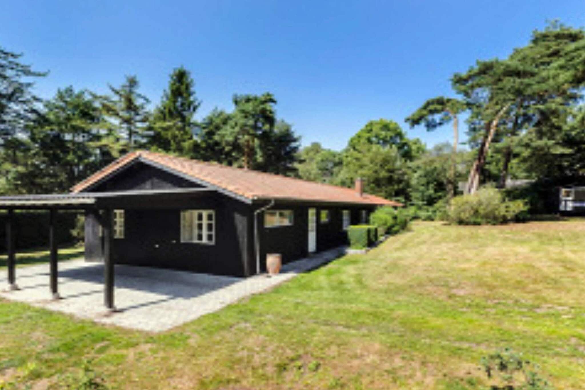 5 Sterne Ferienhaus in Vejby - Im Freien