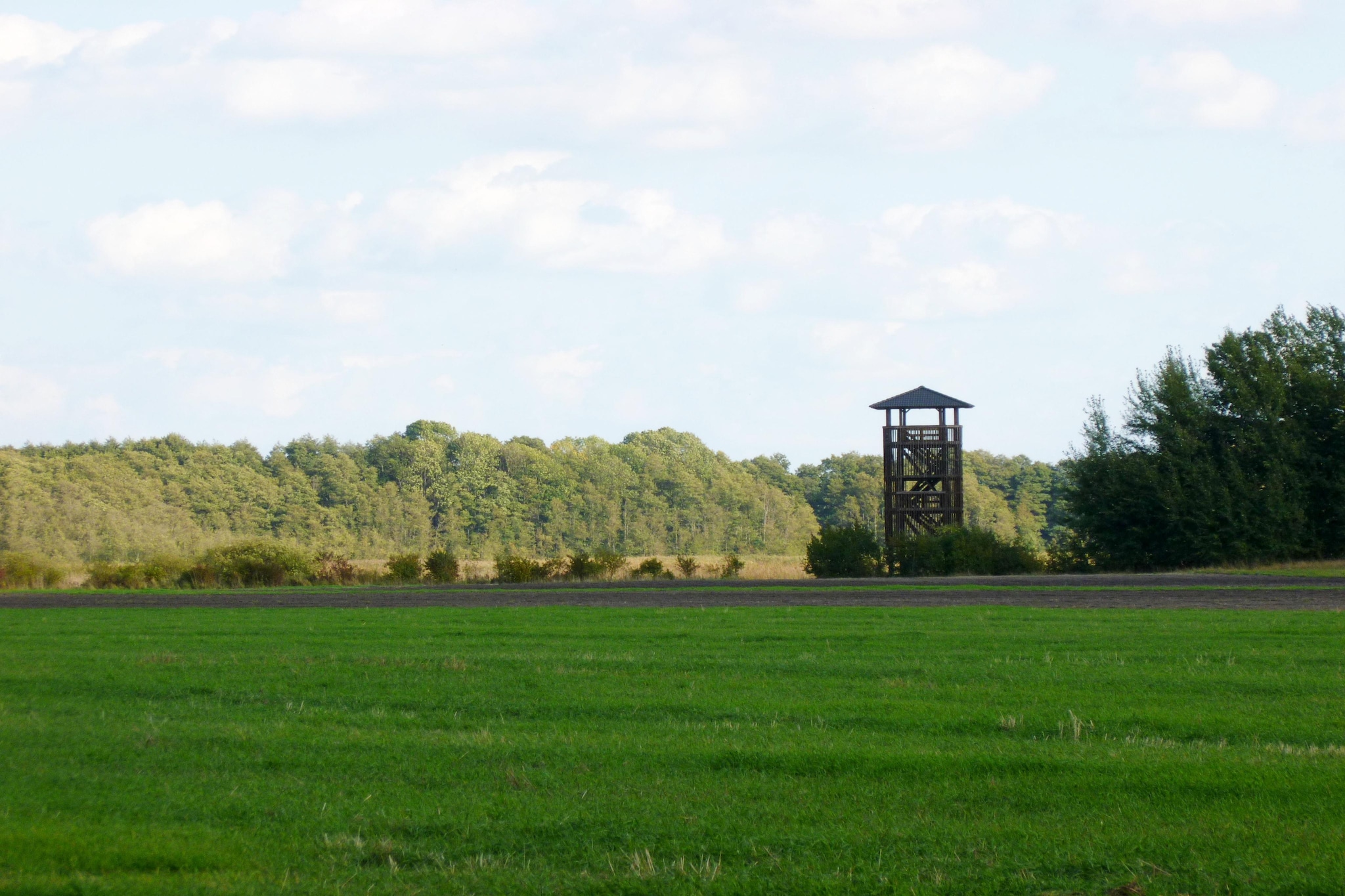 Golden Timber Lodge - Gebiete Sommer 1 km