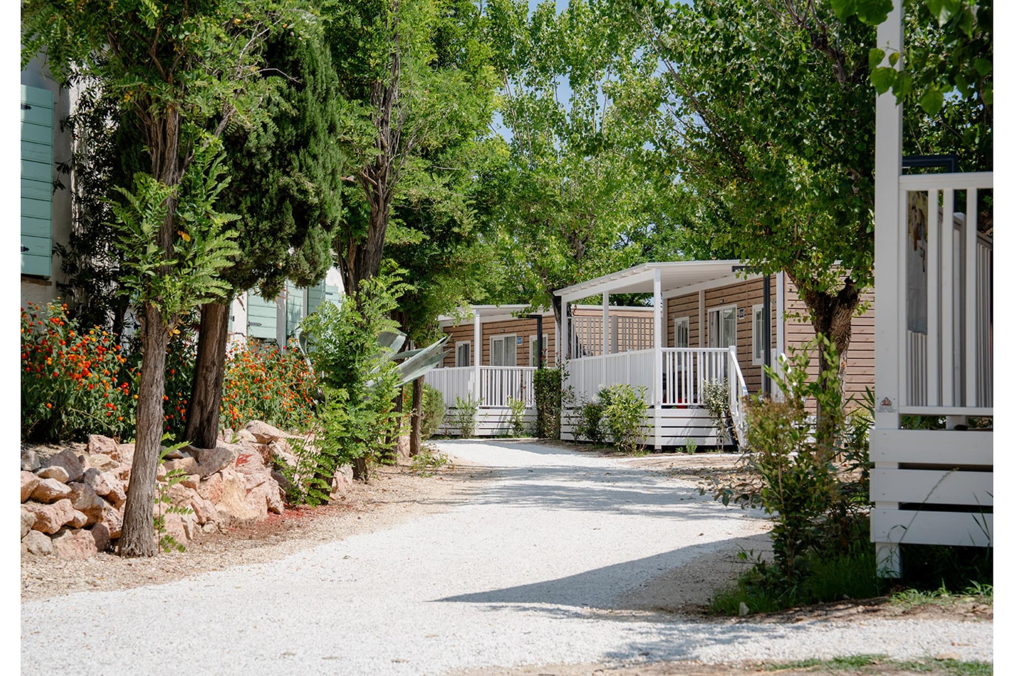 Club del Sole Le Mimose Family Resort LG2 LODGE Lodge Comfort - Gebieden zomer 1km